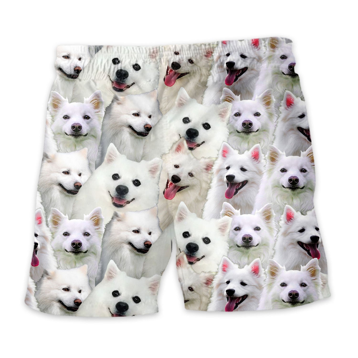 Shorts-back-American-Eskimo.jpg