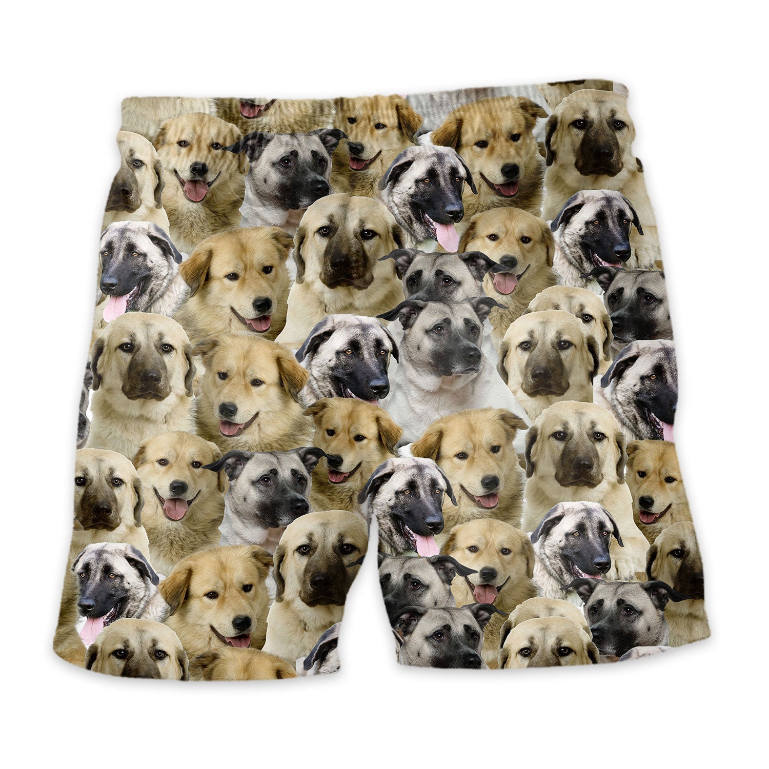Shorts-back-Anatolian-Shepherd.jpg