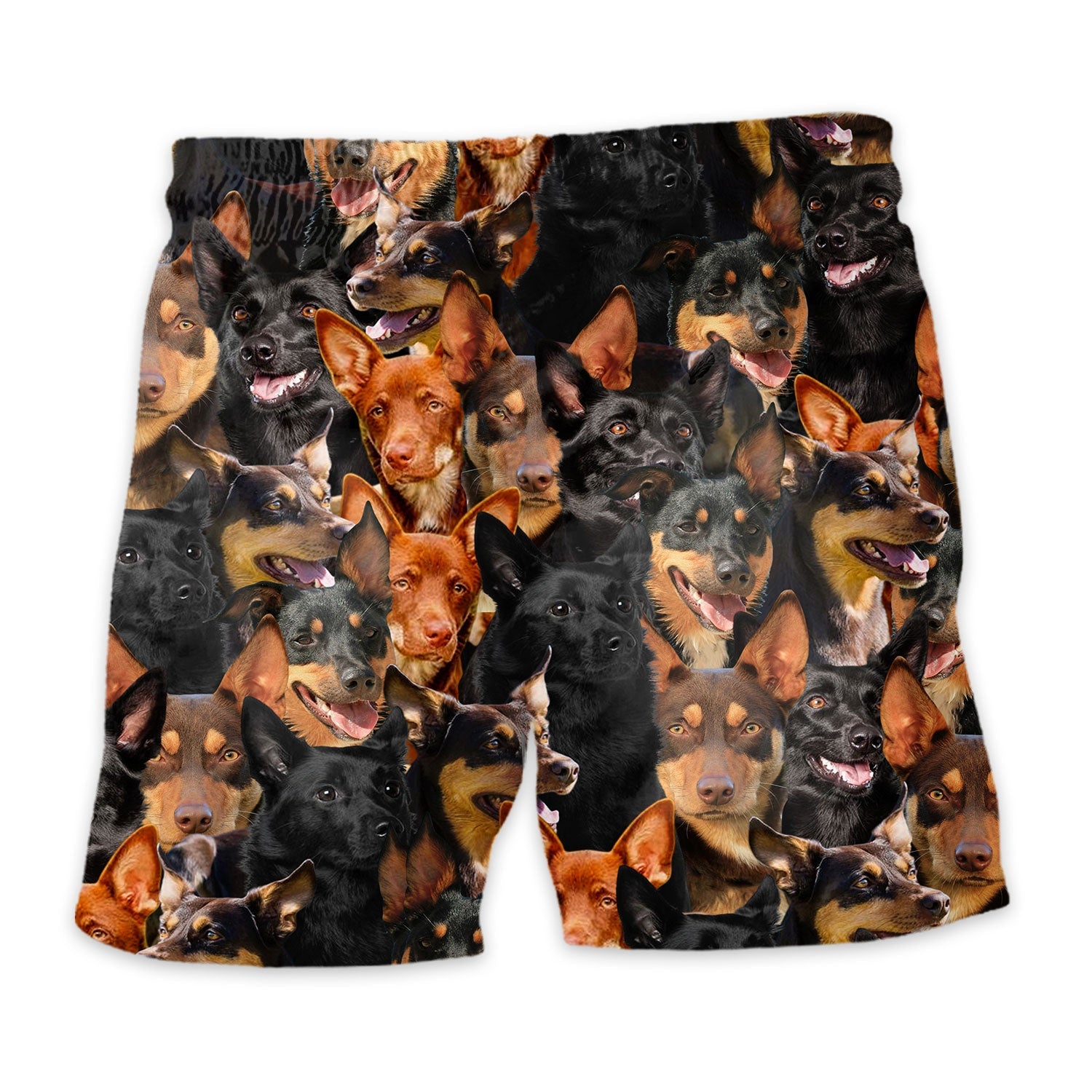 Shorts-back-Australian-Kelpie.jpg