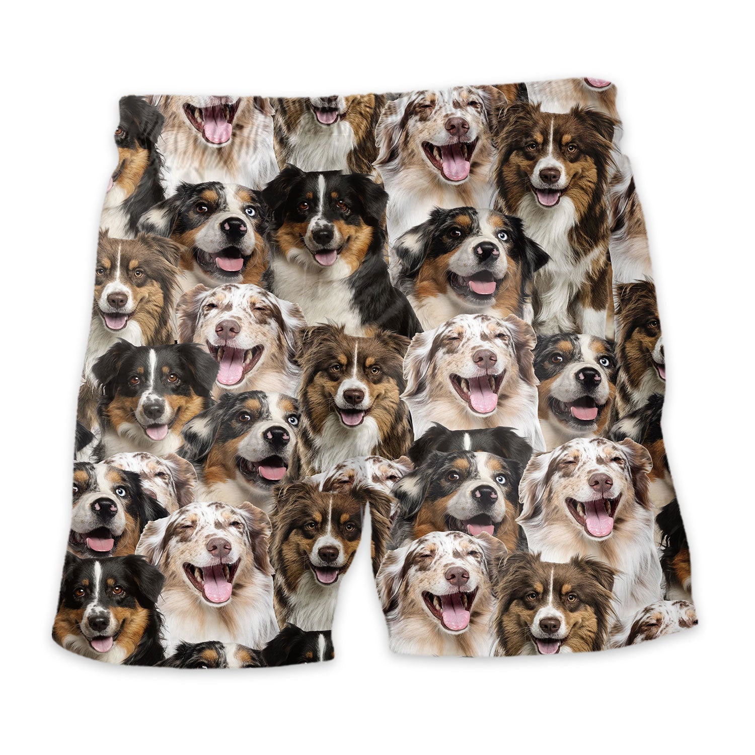 Shorts-back-Australian-Shepherd-2.jpg