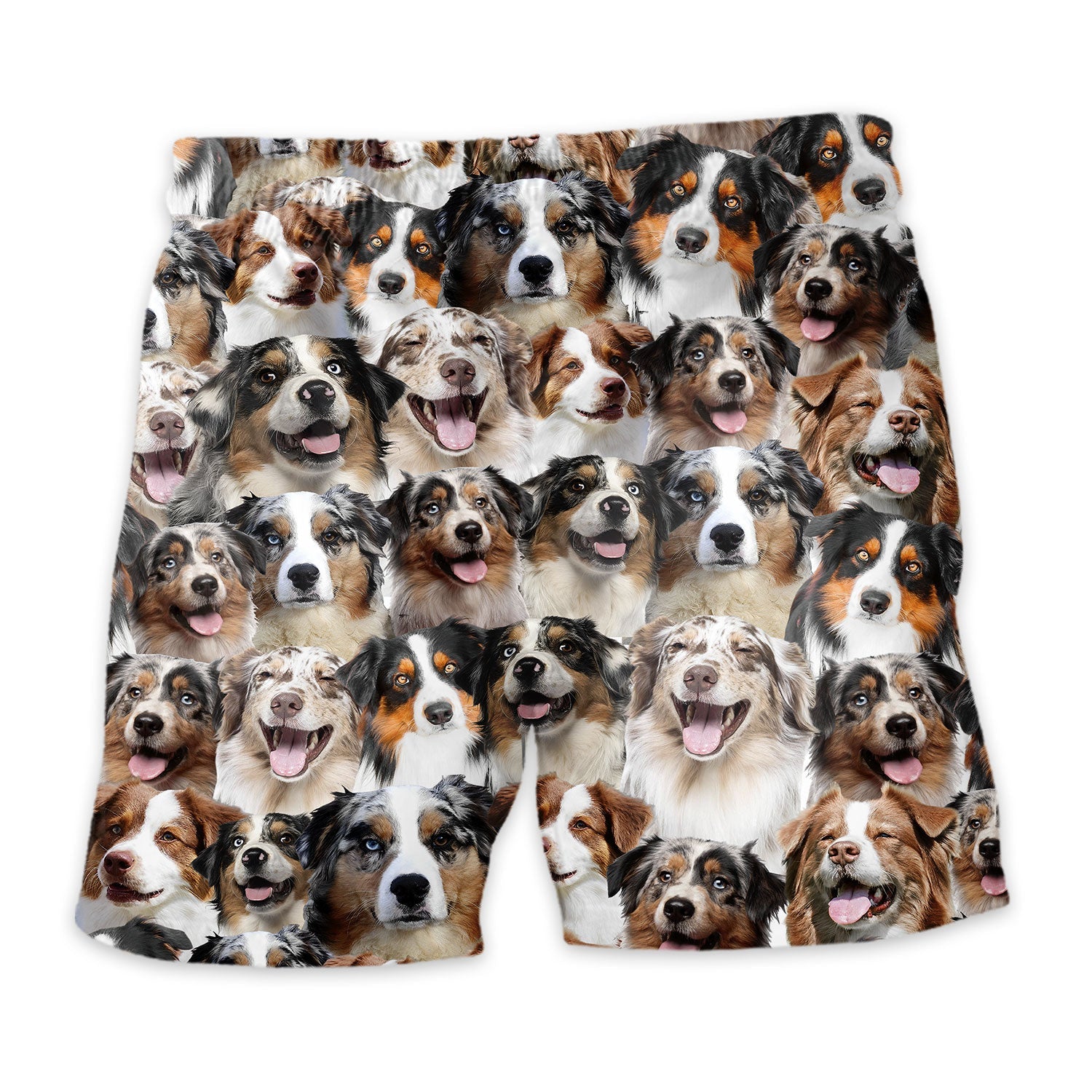 Shorts-back-Australian-Shepherd.jpg