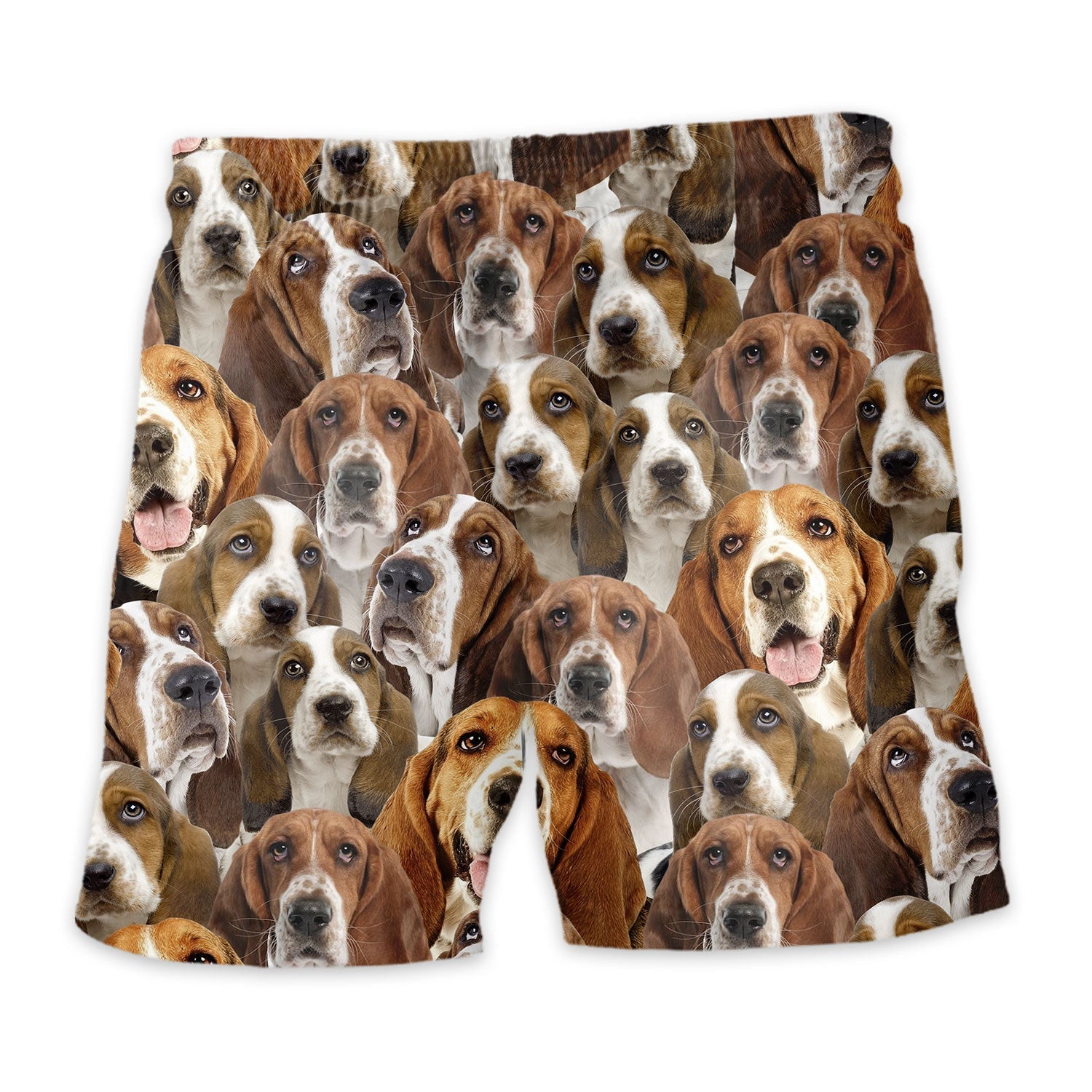 Shorts-back-Basset-Hound.jpg