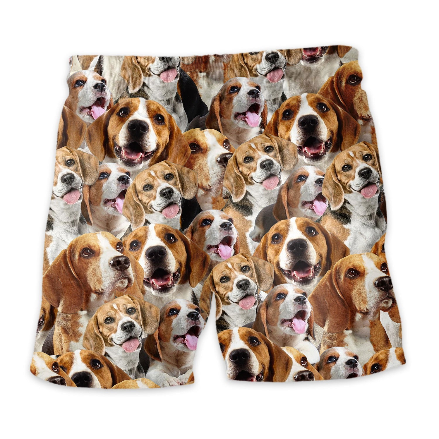 Shorts-back-Beagle.jpg