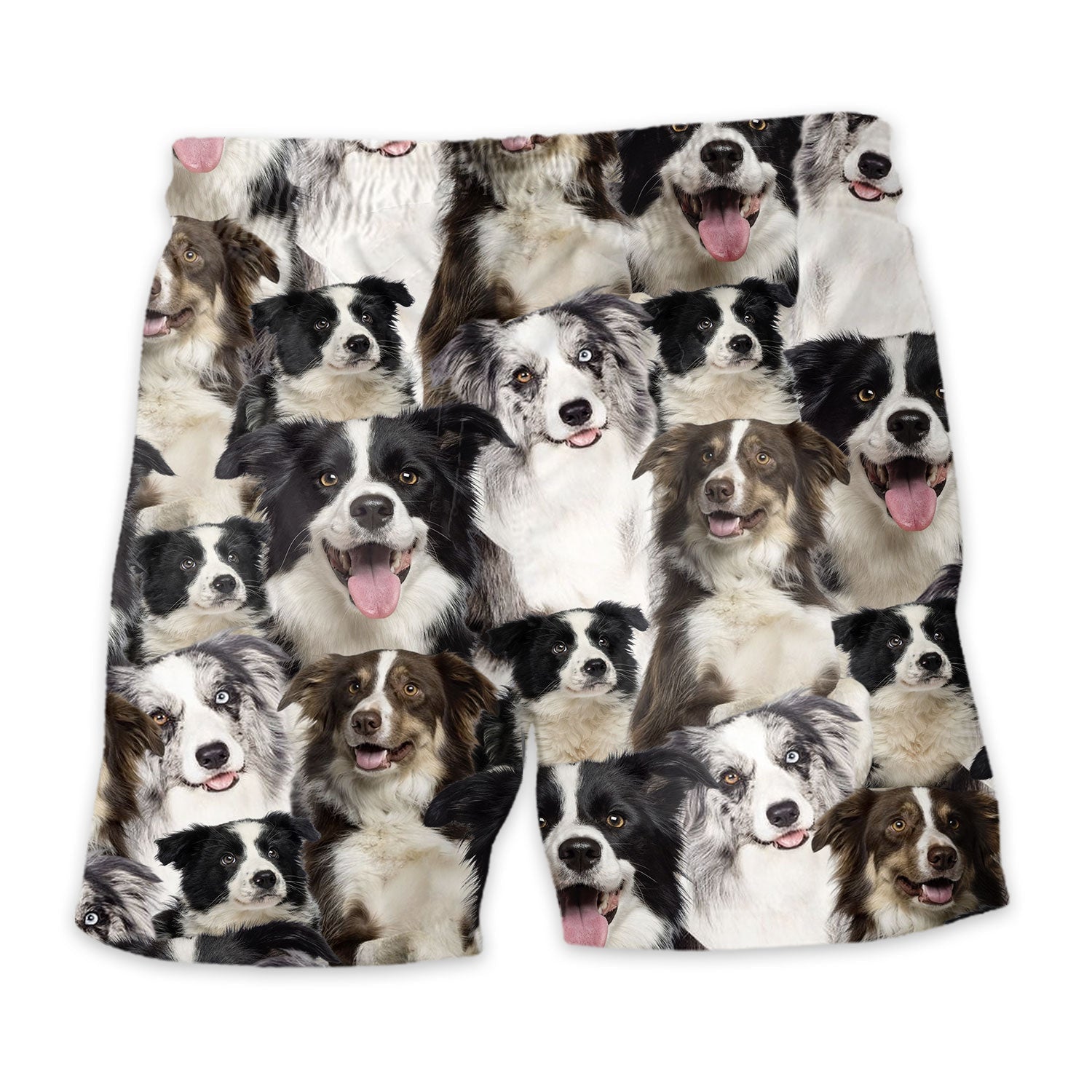 Shorts-back-Border-Collie.jpg