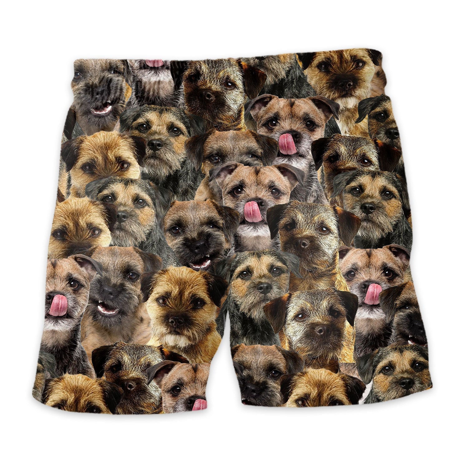 Shorts-back-Border-Terrier.jpg