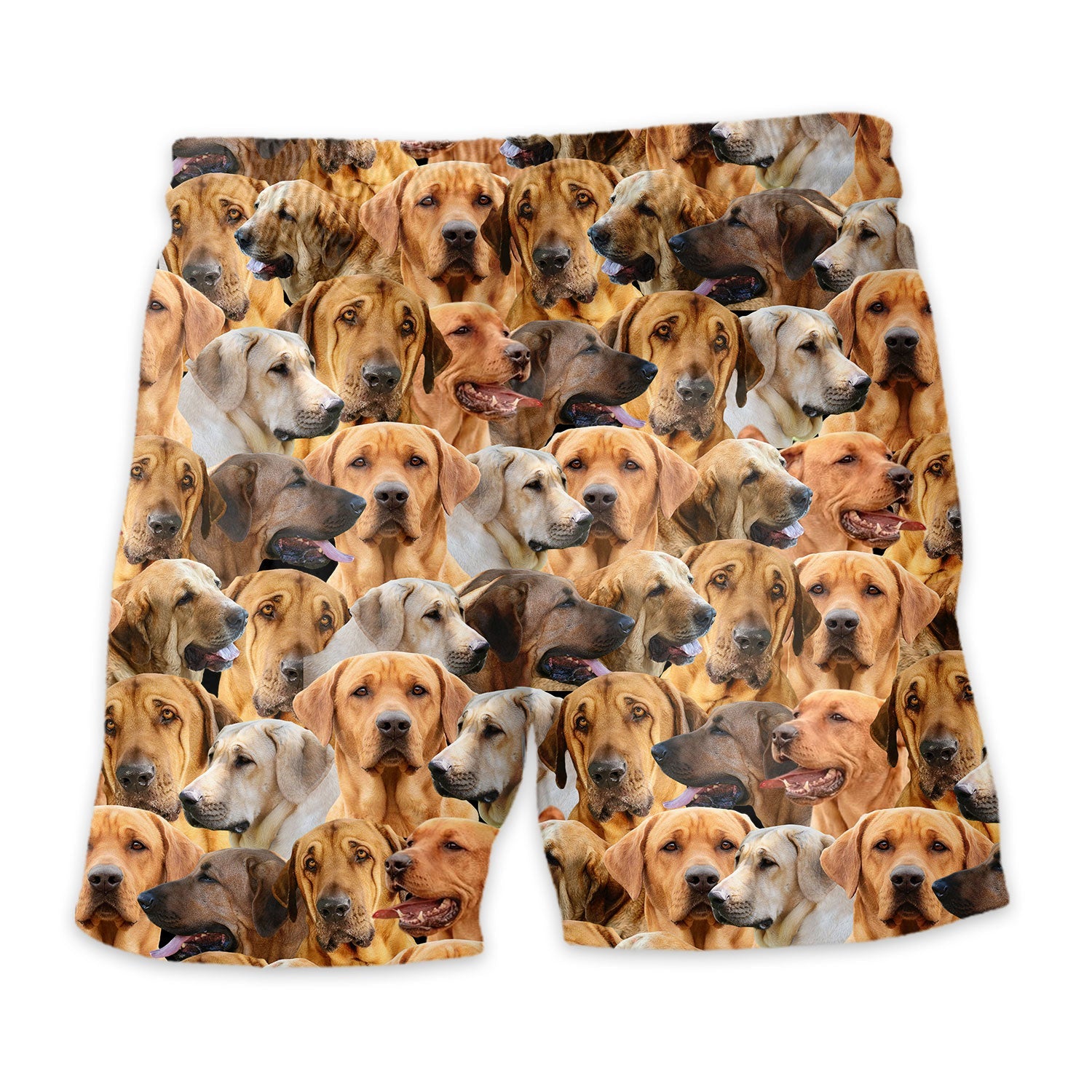 Shorts-back-Broholmer.jpg