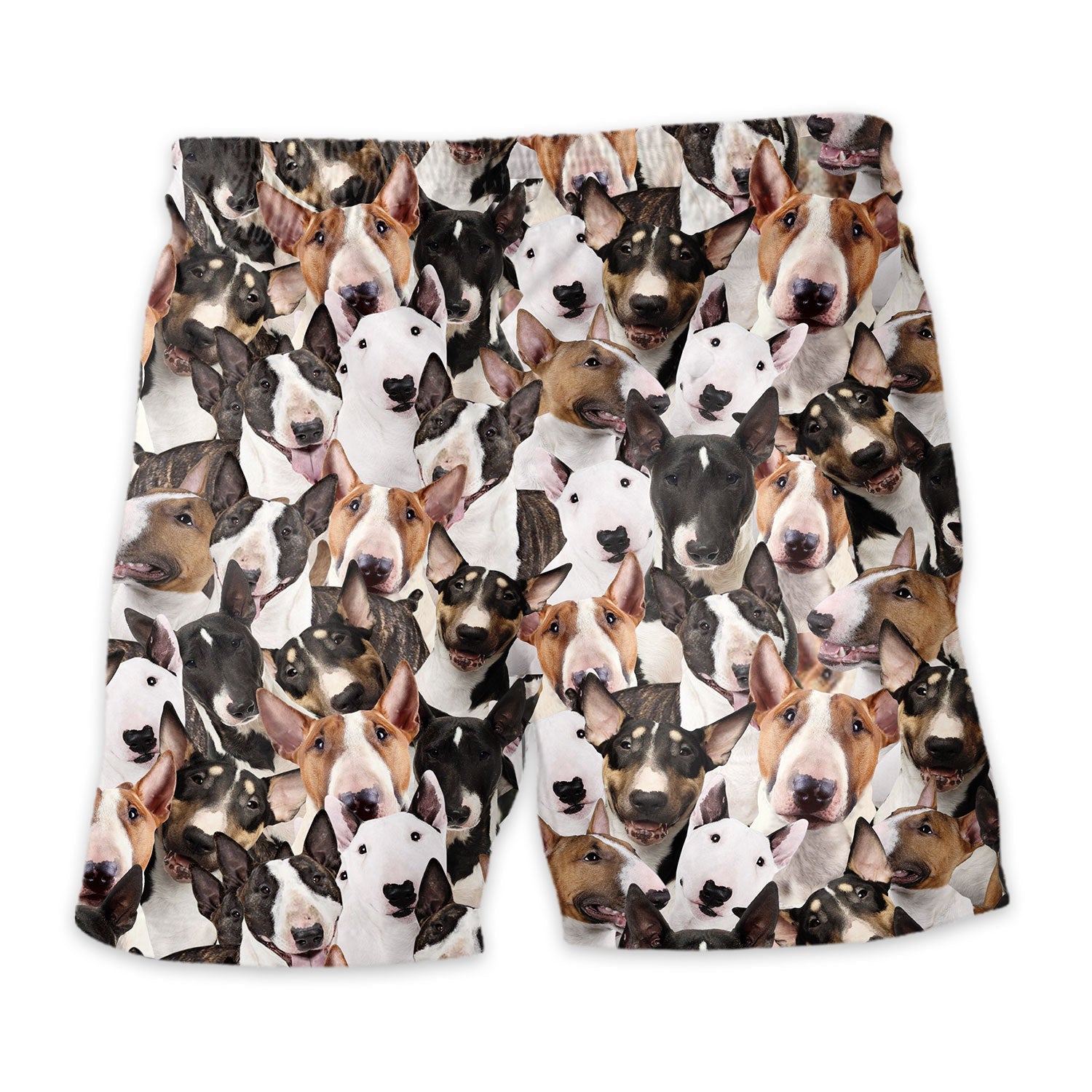 Shorts-back-Bull-Terrier.jpg