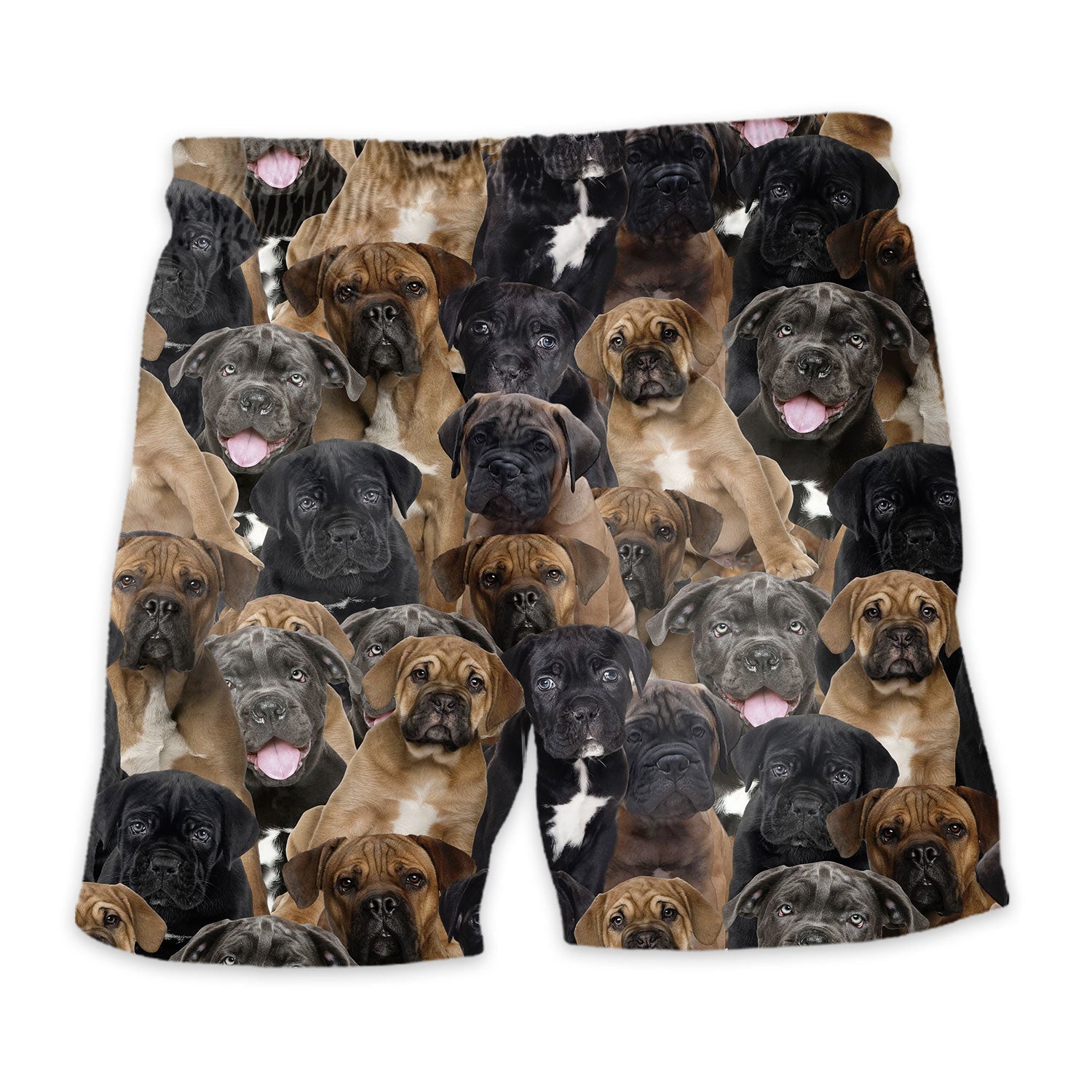 Shorts-back-Cane-Corso.jpg