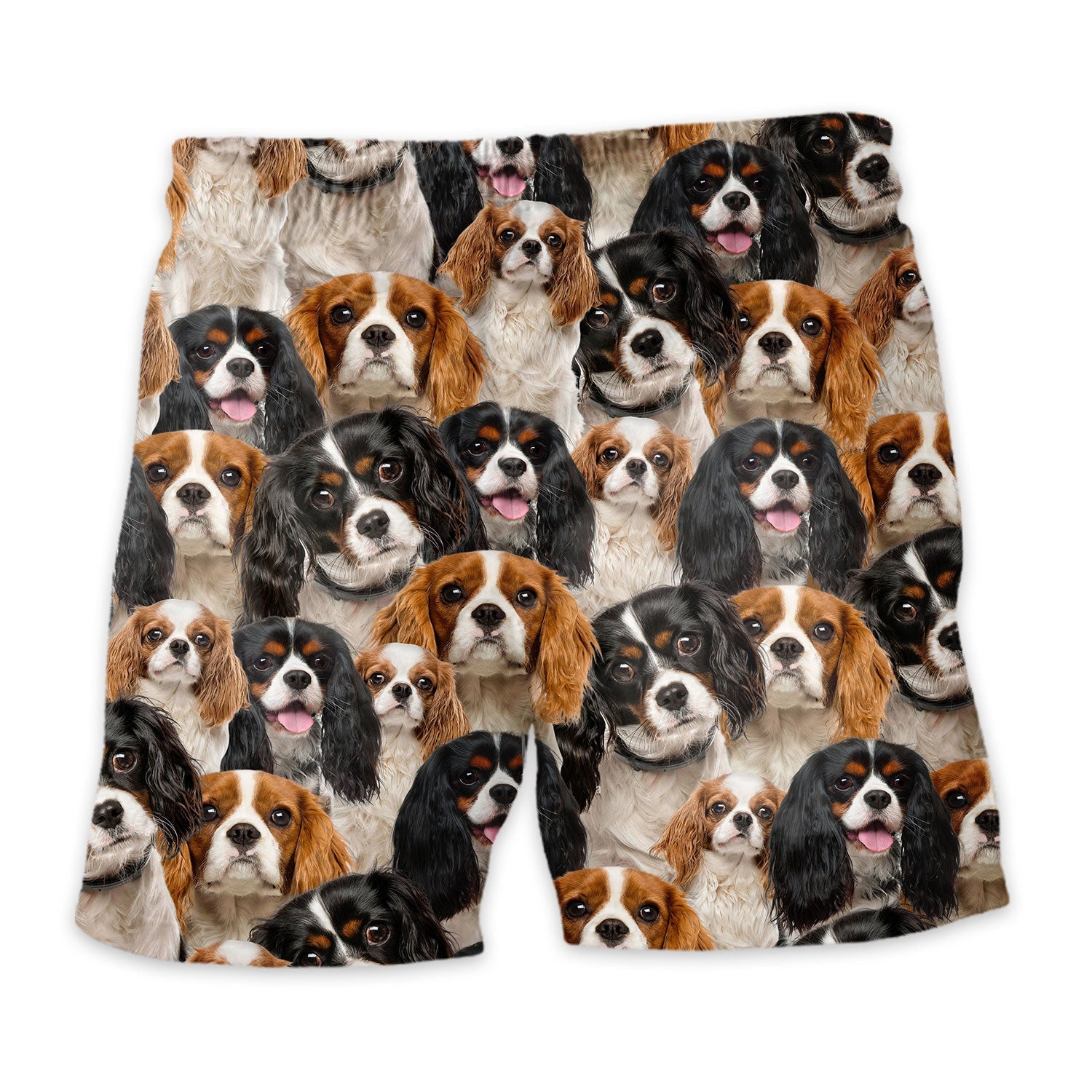 Shorts-back-Cavalier-King-Charles-Spaniel.jpg