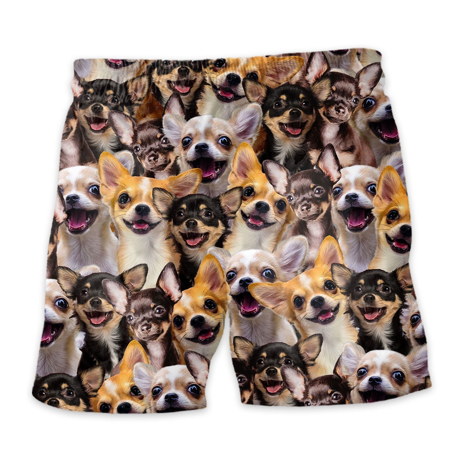 Shorts-back-Chihuahua.jpg