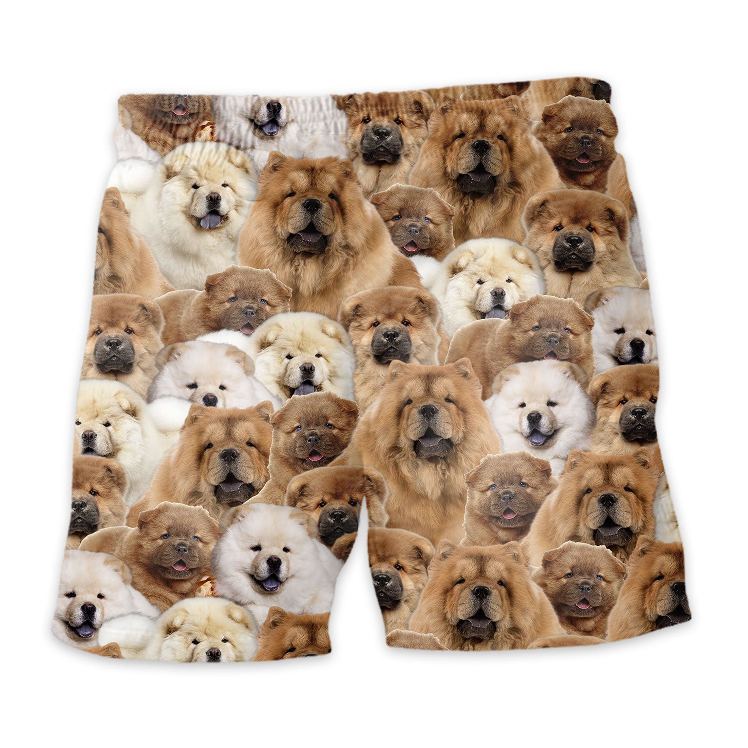 Shorts-back-Chow-Chow.jpg