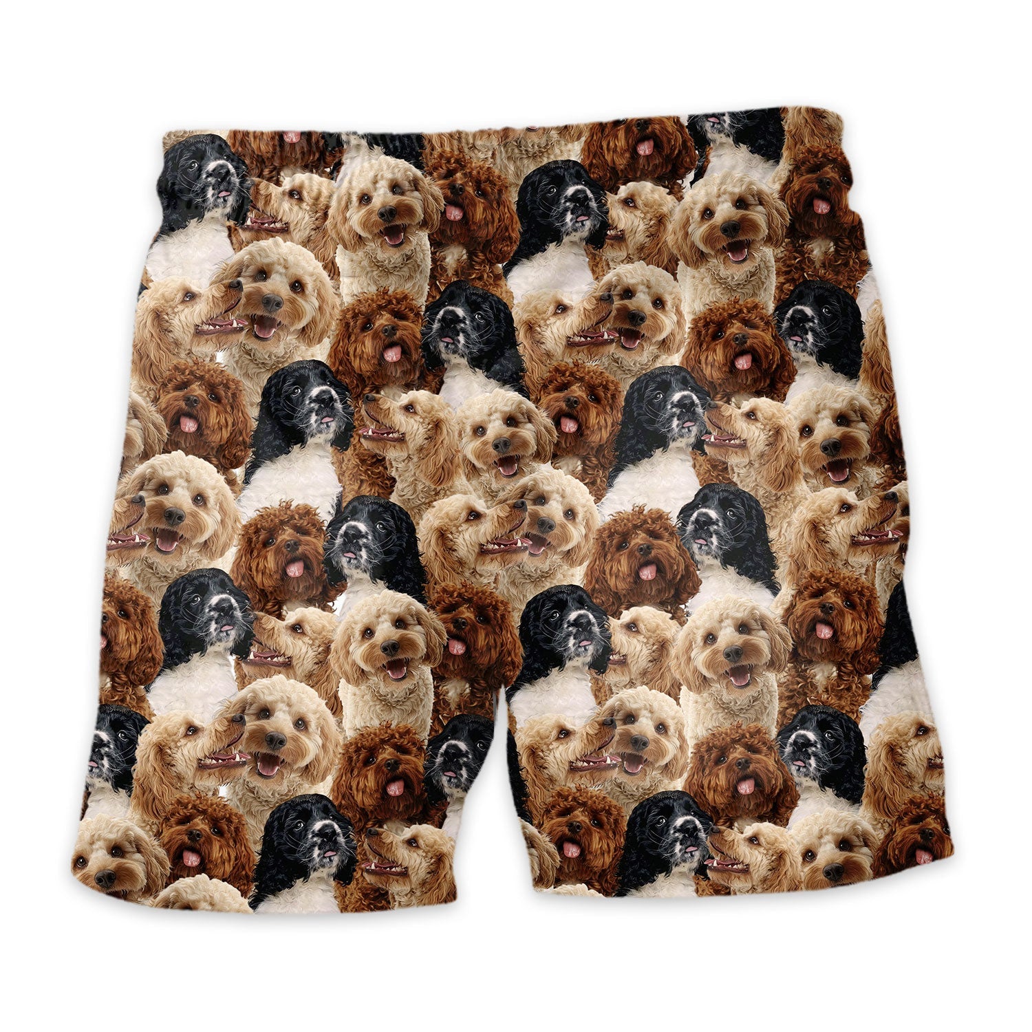 Shorts-back-Cockapoo.jpg