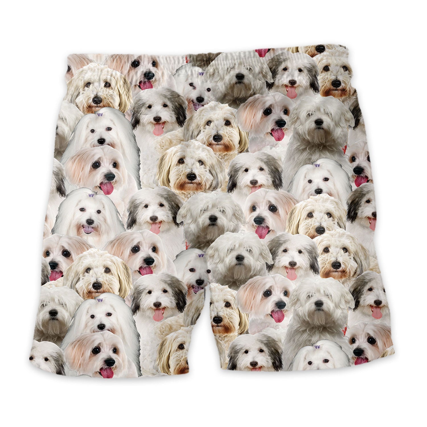 Shorts-back-Coton-De-Tulear.jpg