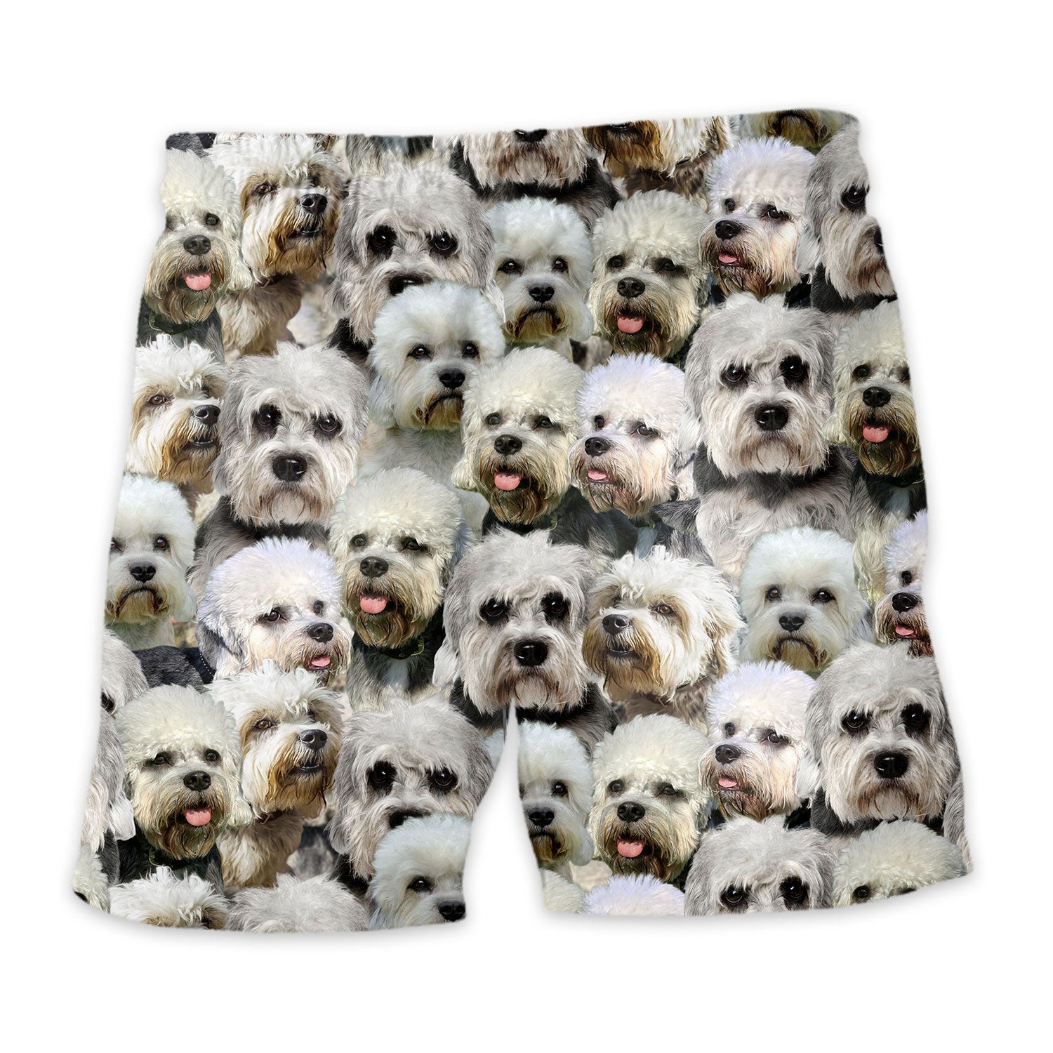 Shorts-back-Dandie-Dinmont-Terrier.jpg