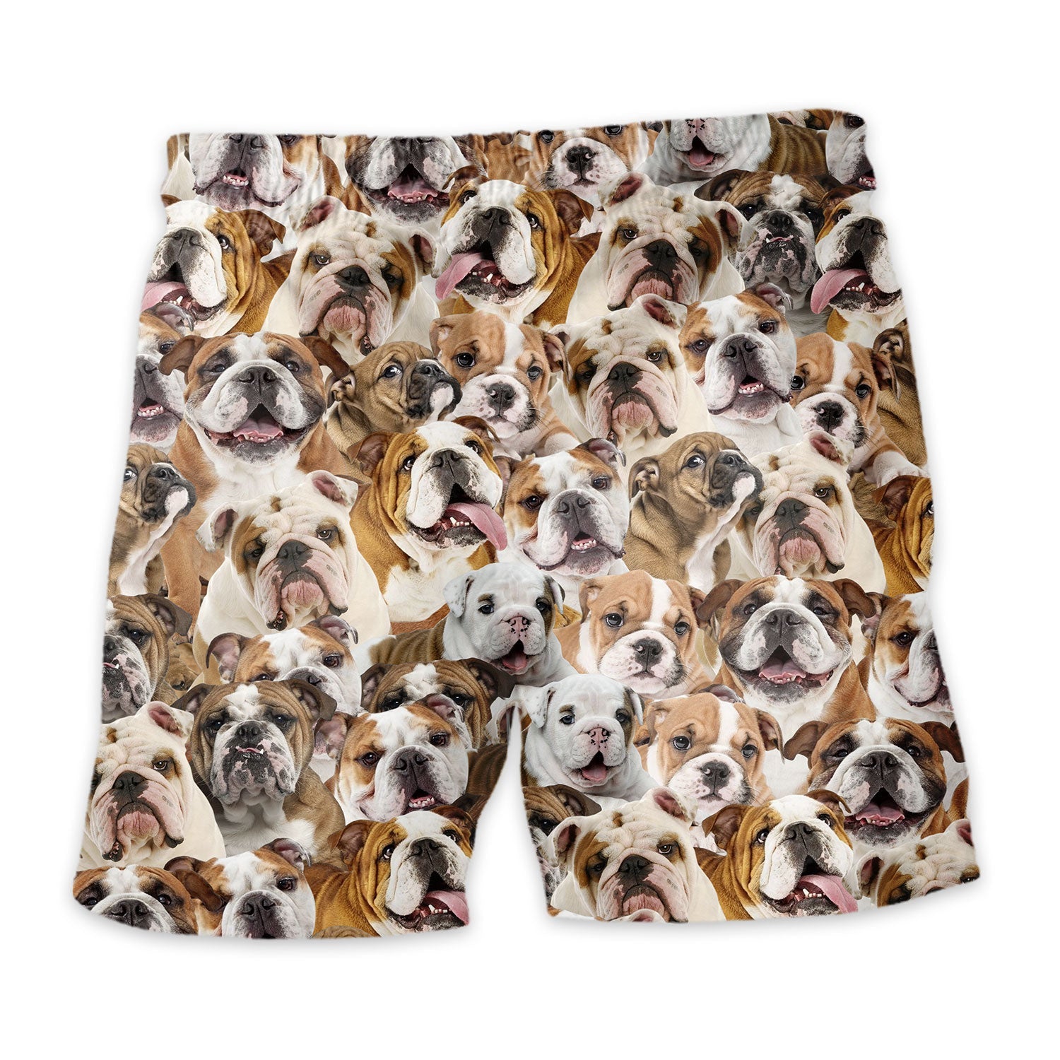 Shorts-back-English-Bulldog.jpg
