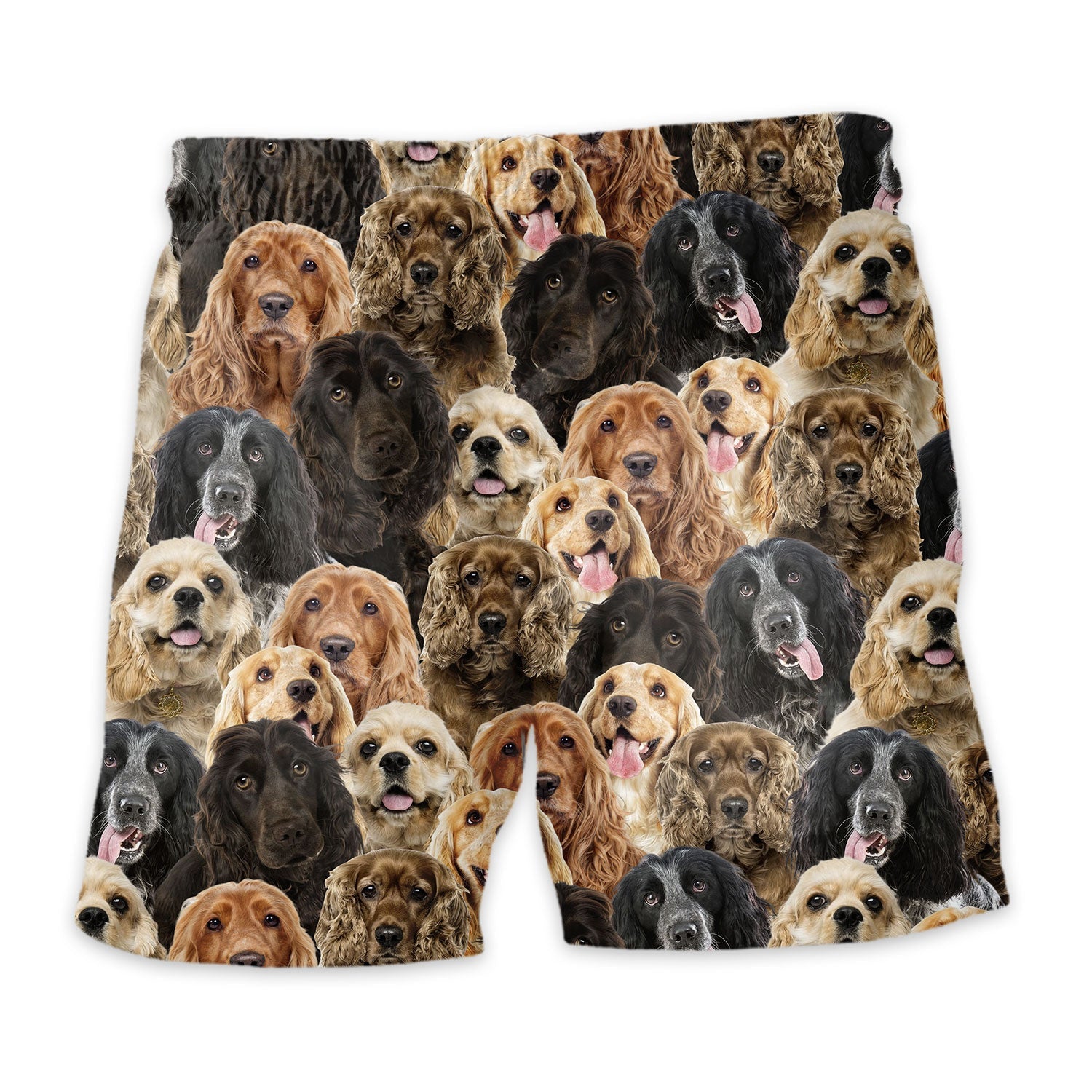 Shorts-back-English-Cocker-Spaniel-2.jpg