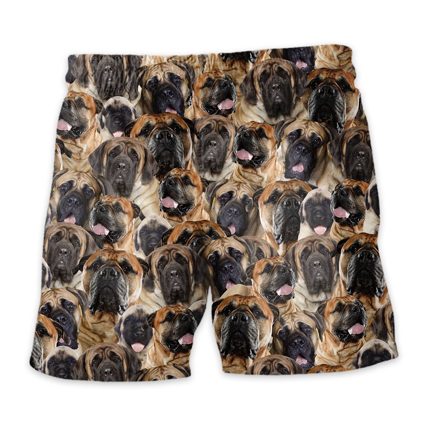 Shorts-back-English-Mastiff.jpg