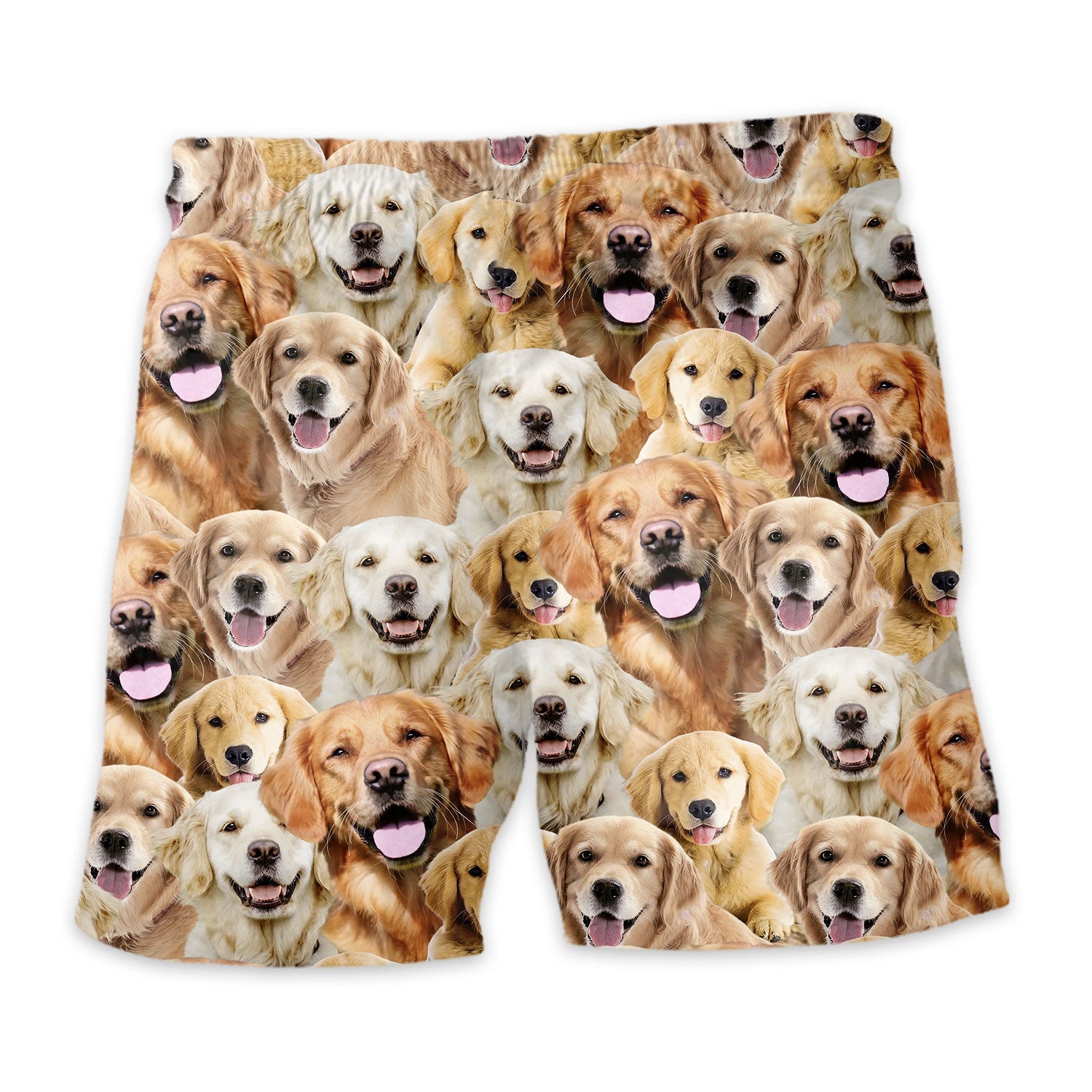 Shorts-back-Golden-Retriever.jpg
