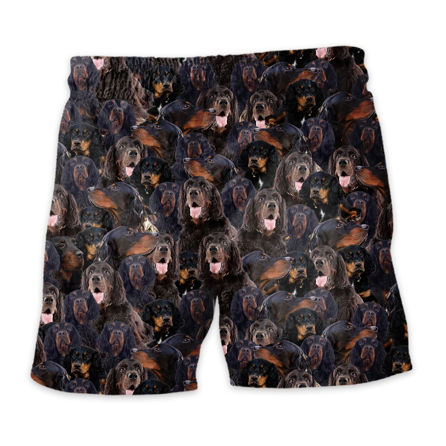 Shorts-back-Gordon-Setter.jpg
