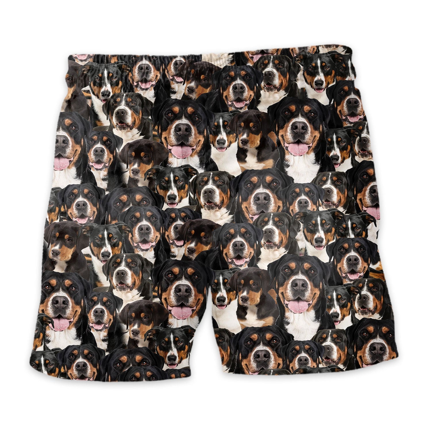 Shorts-back-Greater-Swiss-Mountain-Dog.jpg