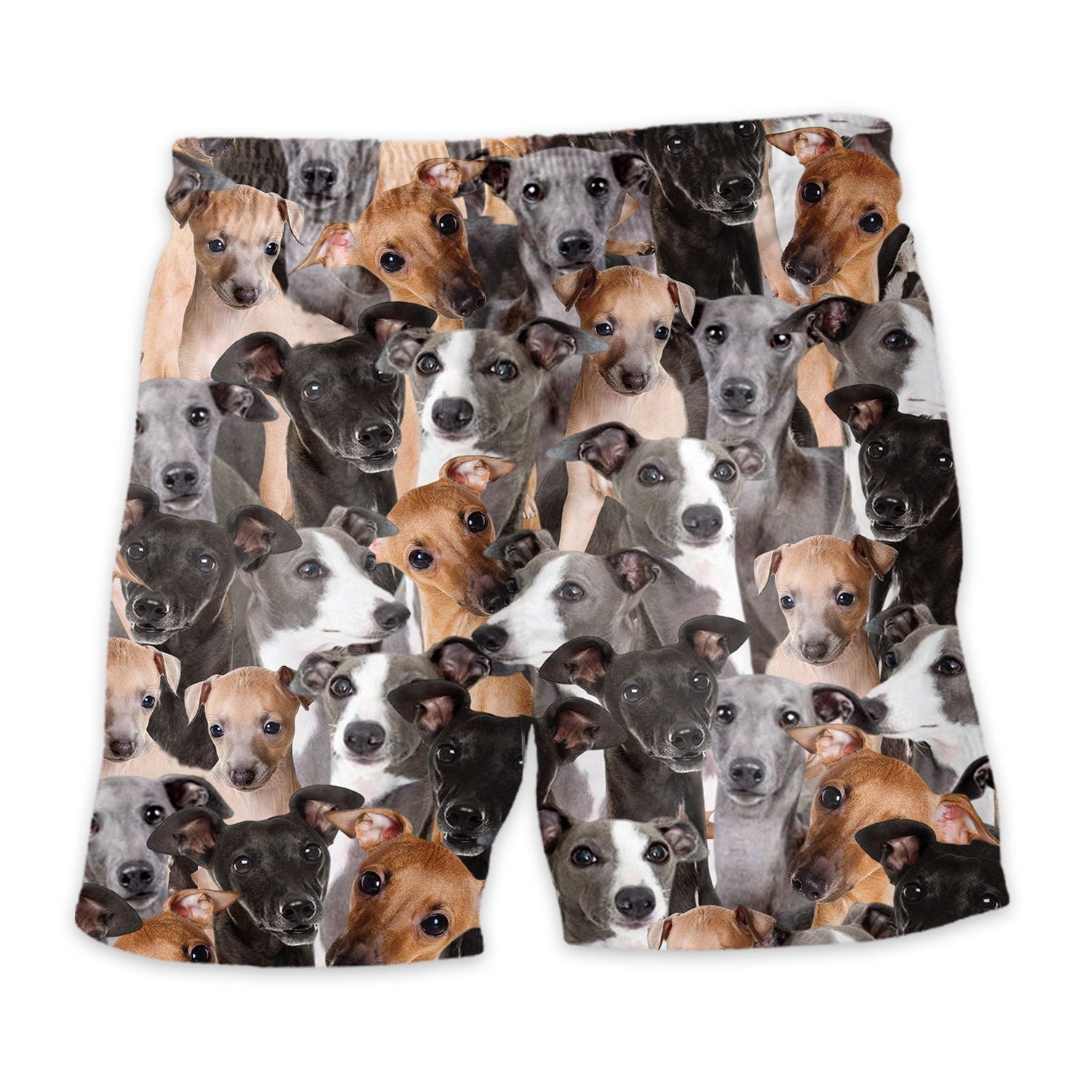 Shorts-back-Italian-Greyhound-Full.jpg