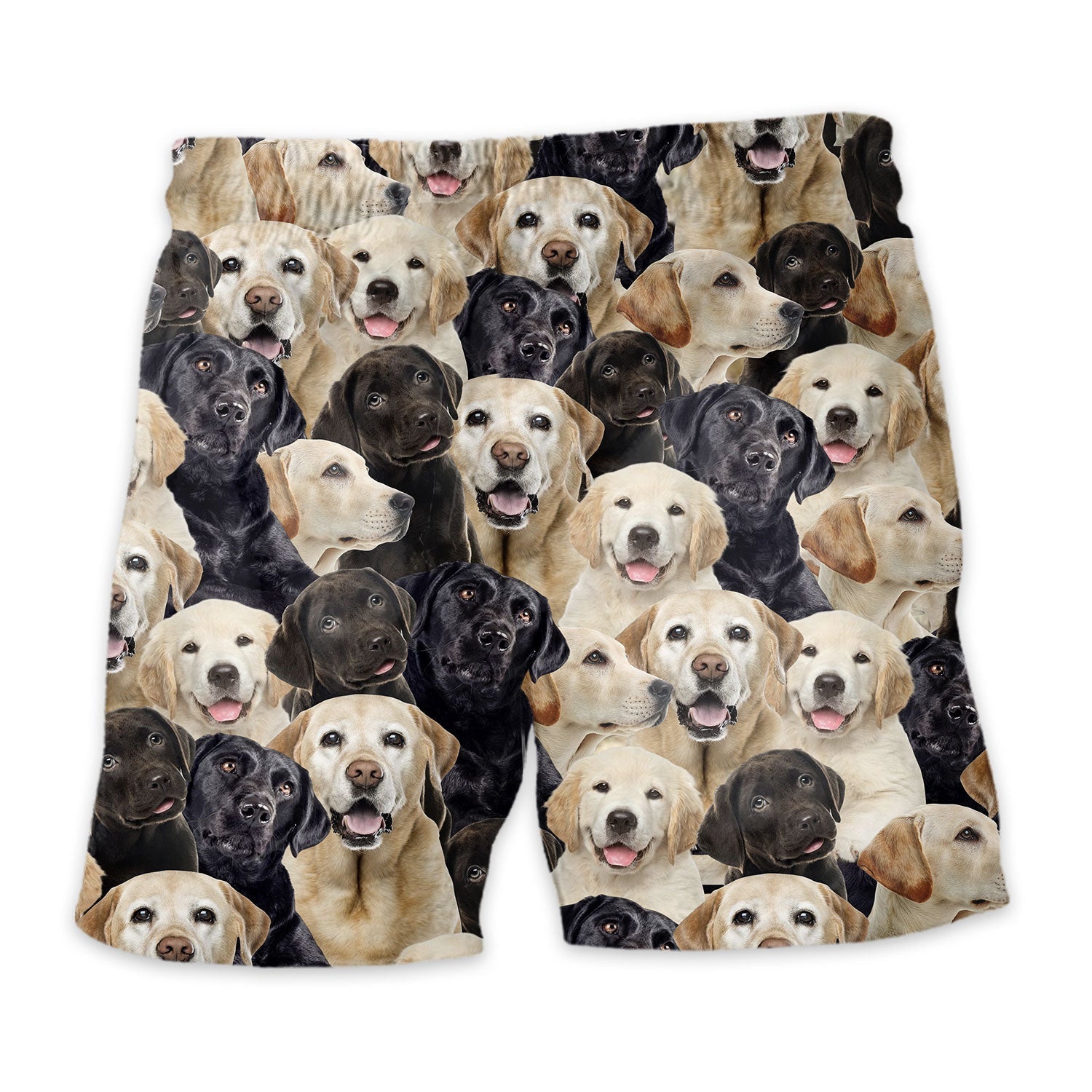 Shorts-back-Labrador-Retriever.jpg