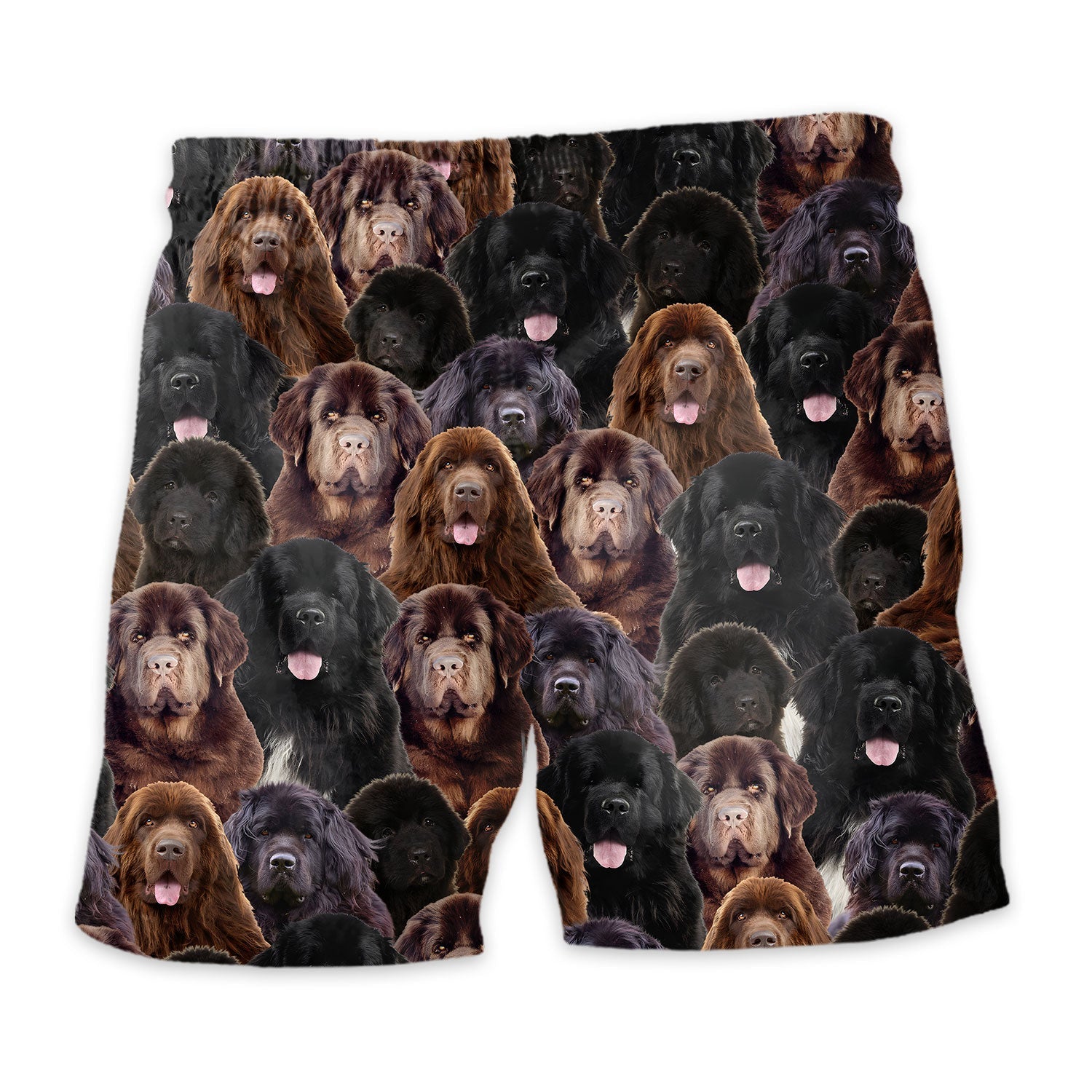 Shorts-back-Newfoundland_46ba43d1-f8be-4bcf-ab1d-2b9ebf436de4.jpg