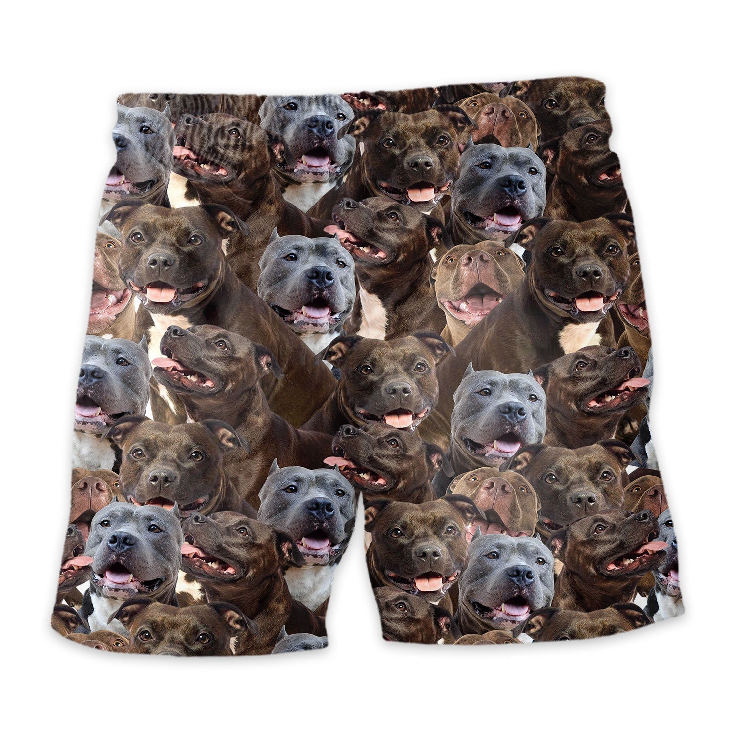Shorts-back-Pitbull_a64036a1-69f2-4f17-88ea-cce069de059c.jpg