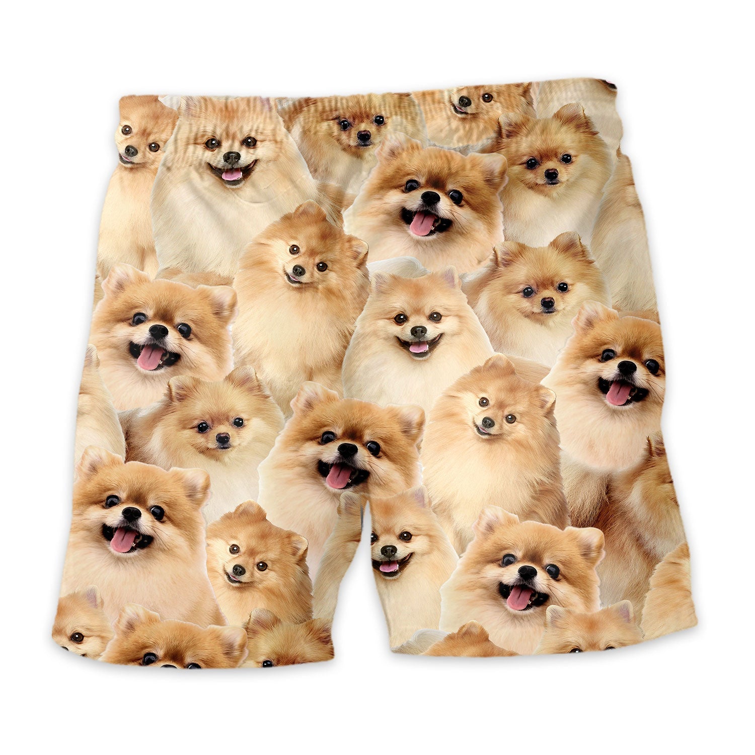 Shorts-back-Pomeranian_313936a3-18f2-4bcf-aa4e-448b95f31494.jpg