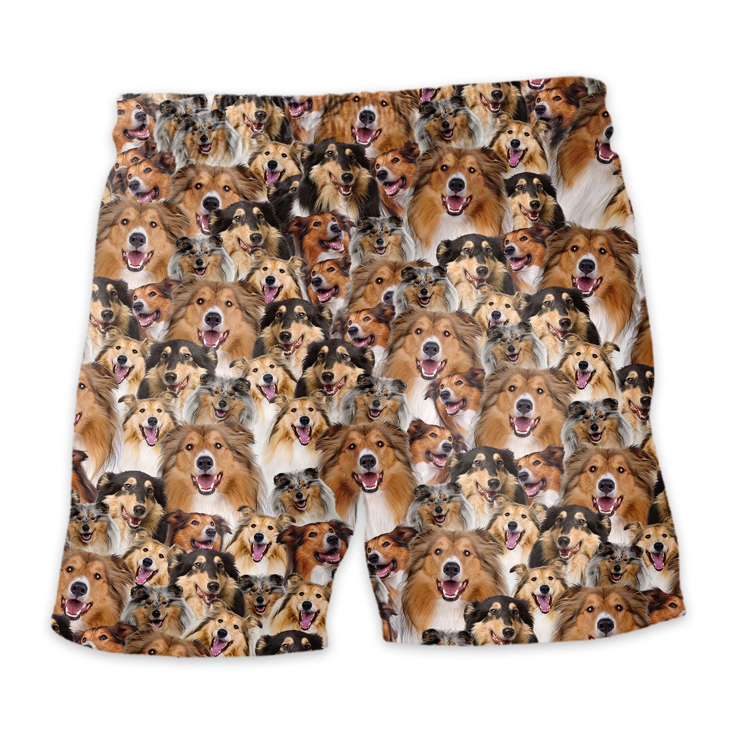 Shorts-back-Rough-Collie_68d0dd7e-bc45-4f6e-bb02-b38cac4b5b24.jpg
