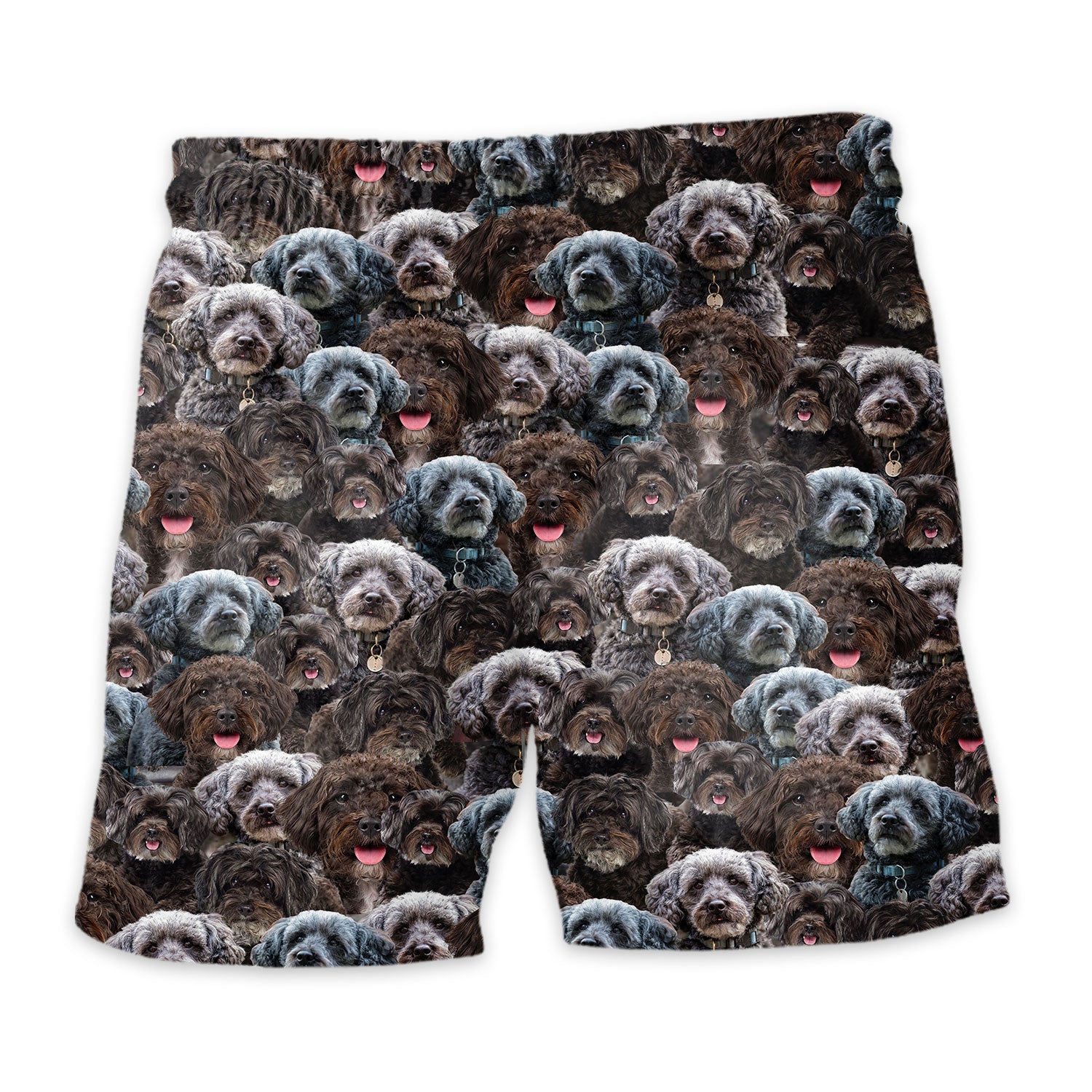 Shorts-back-Schnoodle_723349d6-d06b-4ddf-a959-e51d3eedd059.jpg