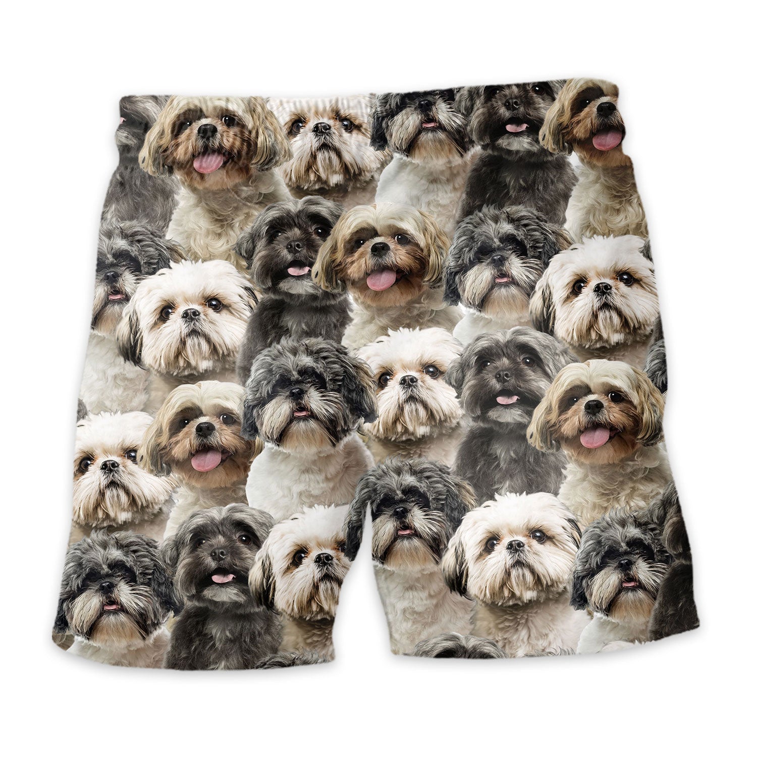 Shorts-back-Shih-Tzu_eca238be-65aa-4953-b41e-5e2ad22a8694.jpg