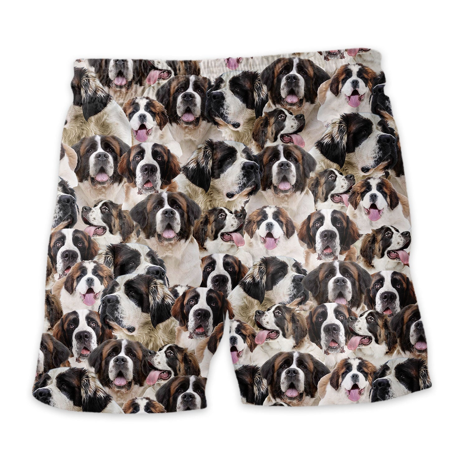 Shorts-back-St-Bernard_c25f9707-7d93-4c94-bb66-47e21cca9b33.jpg