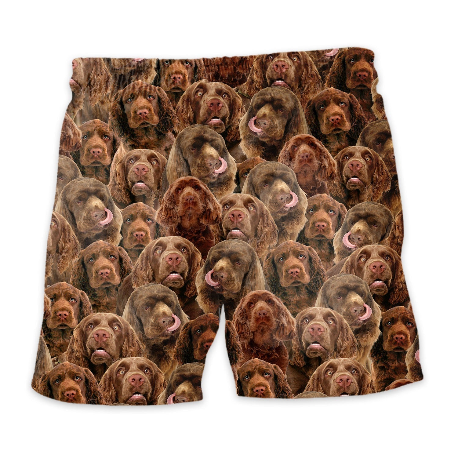 Shorts-back-Sussex-Spaniel_a7645797-6845-42e8-9f66-3c26c252c9cb.jpg