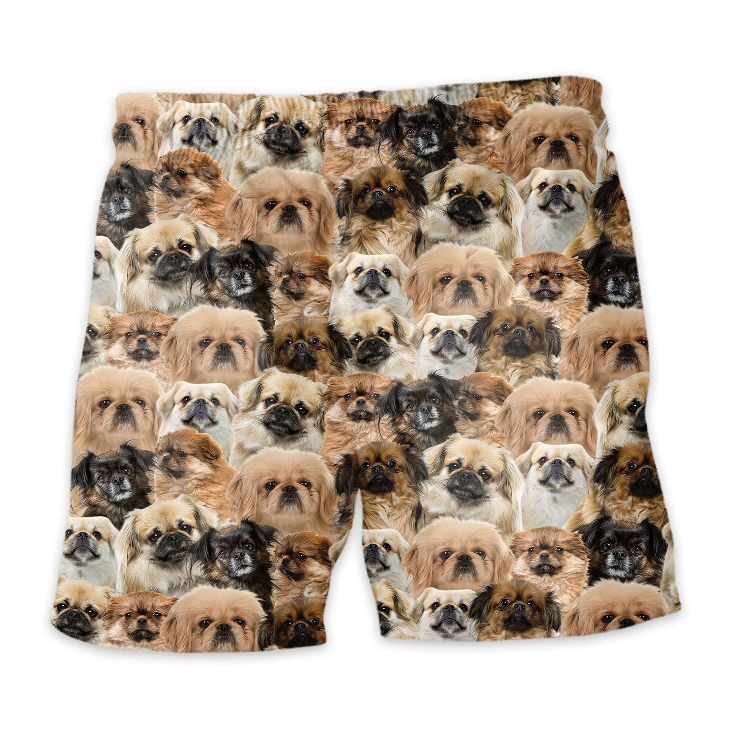 Shorts-back-Tibetan-Spaniel_1c08bb00-0c66-4e88-a8c2-81fd82ad4cf1.jpg