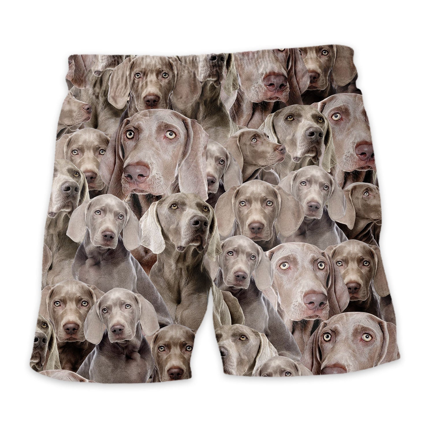 Shorts-back-Weimaraner_9b0cbb5d-f48a-4f34-a132-6b022fa68b95.jpg