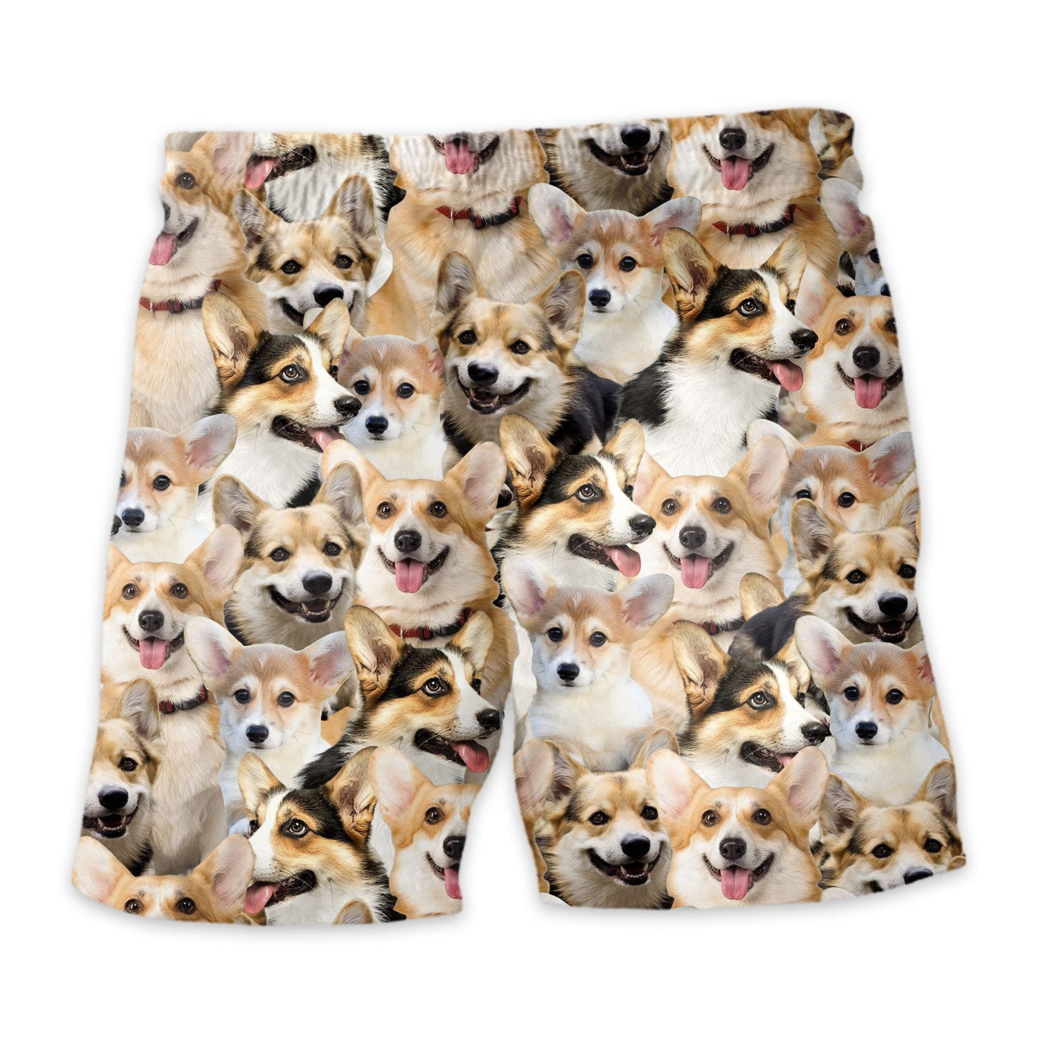 Shorts-back-Welsh-Corgi_64e9a58e-6074-4eb6-a5bd-d0ef9a3ab668.jpg