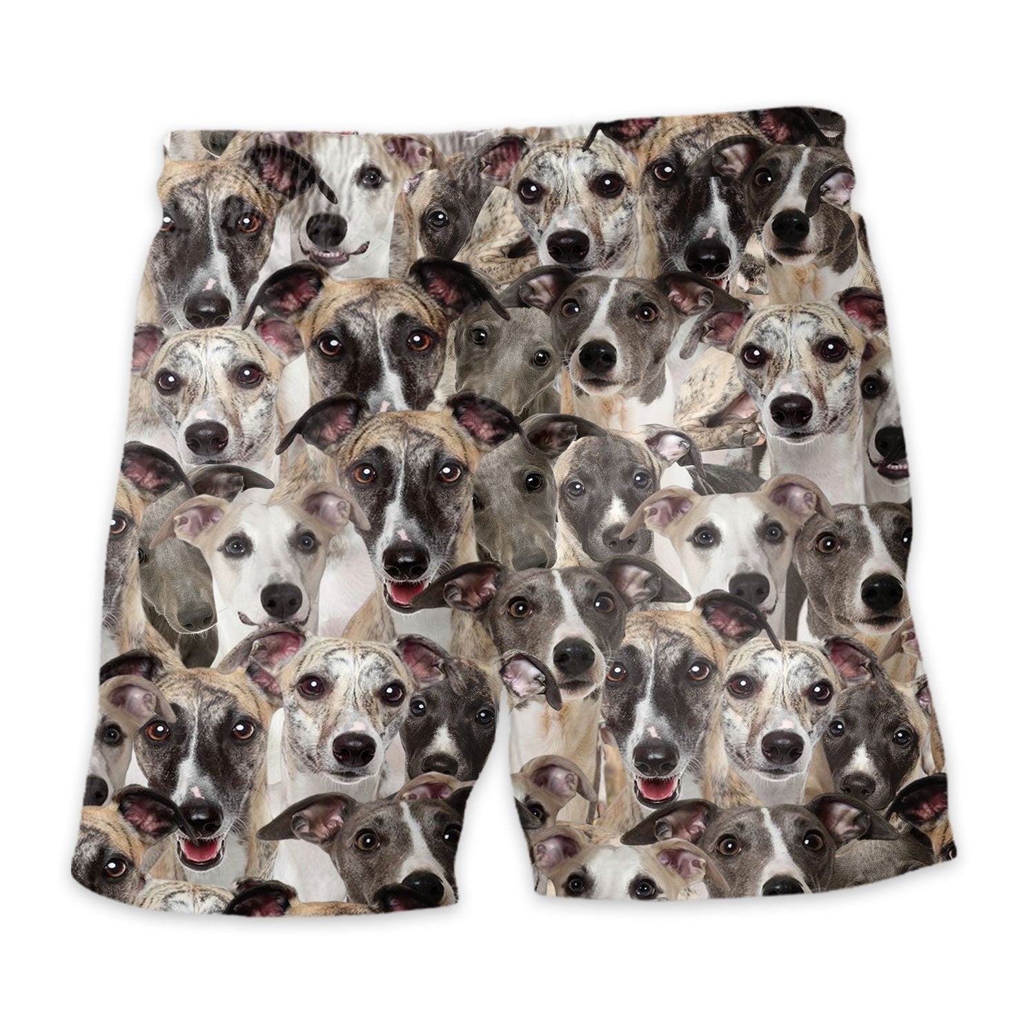 Shorts-back-Whippet_9b25c22d-a383-4a5e-ad72-f4b0079f44ba.jpg
