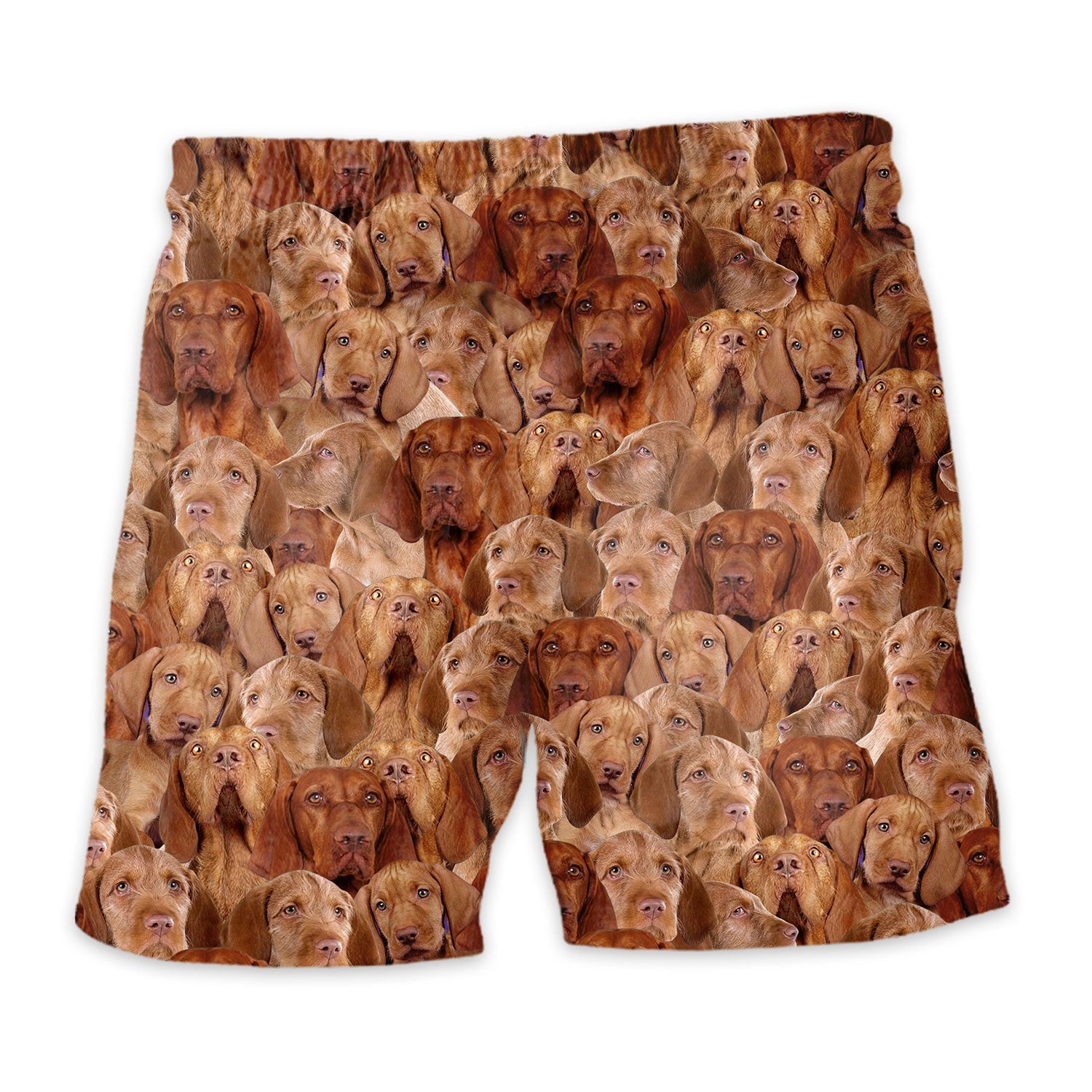 Shorts-back-Wirehaired-Vizsla_ca2c2582-31fd-412c-917f-937aa14321e5.jpg