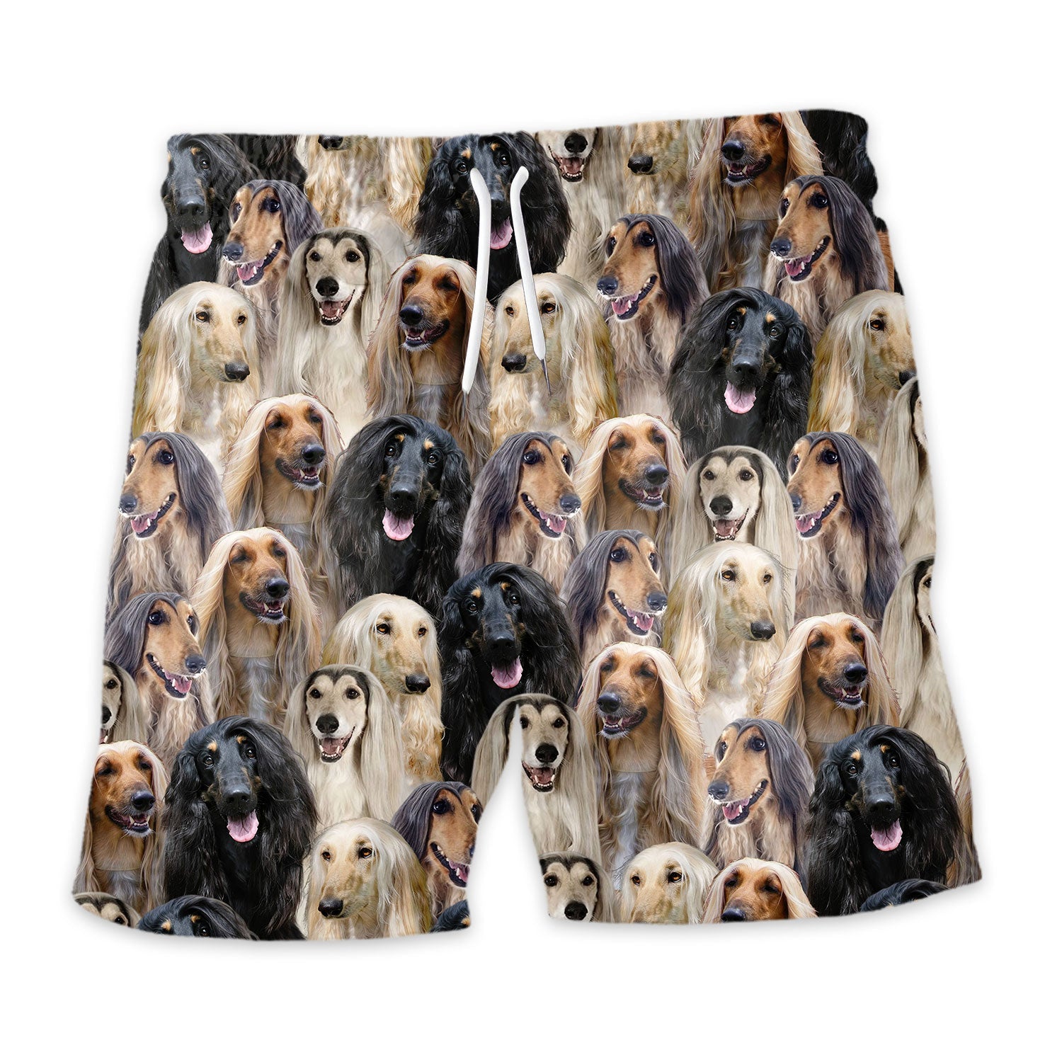 Shorts-front-Afghan-Hound.jpg