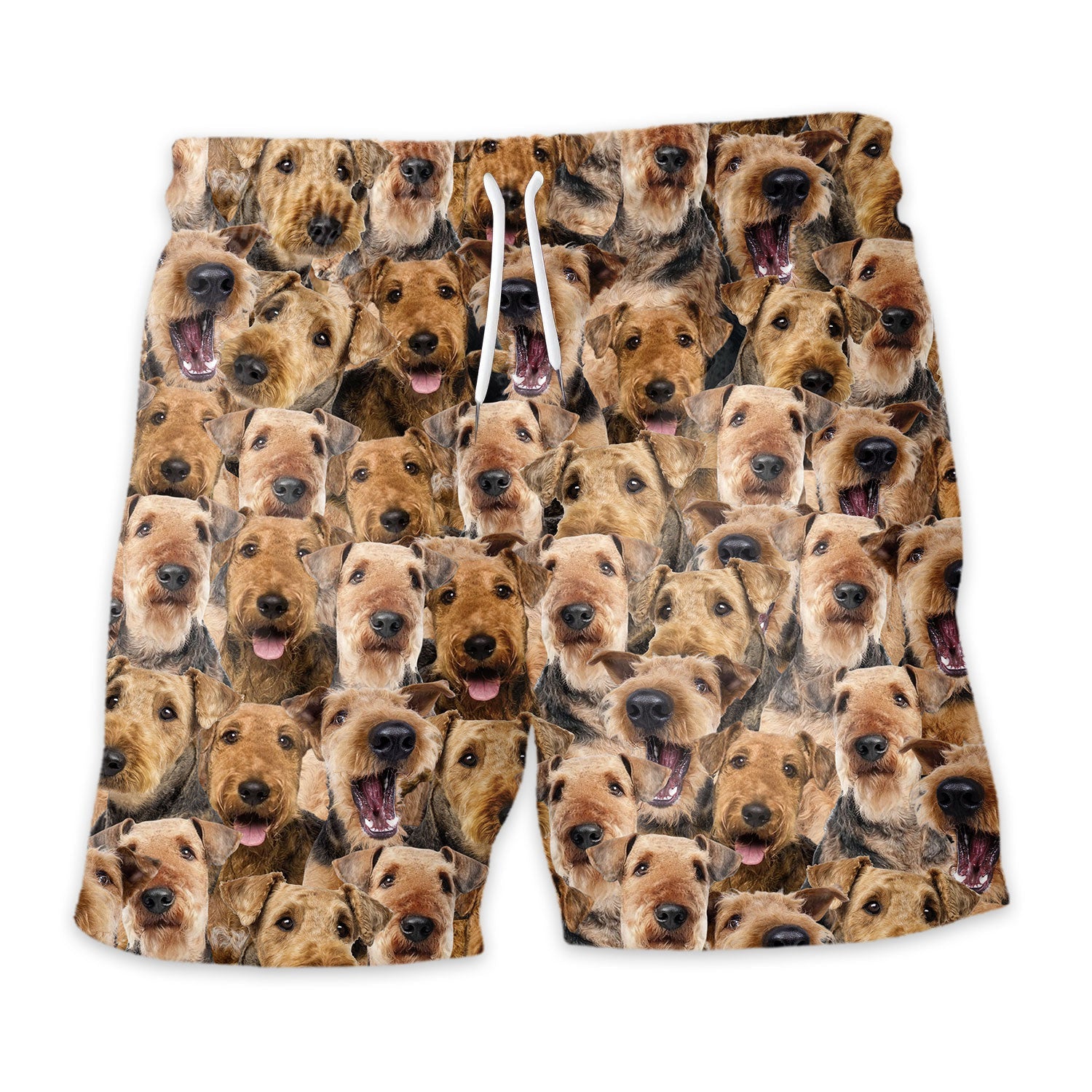 Shorts-front-Airedale-Terrier.jpg