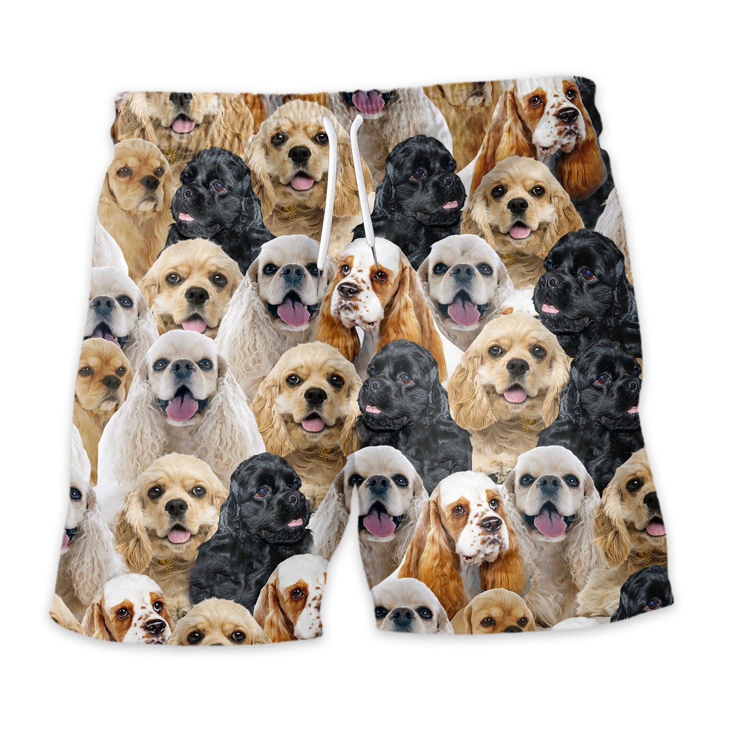 Shorts-front-American-Cocker-Spaniel.jpg
