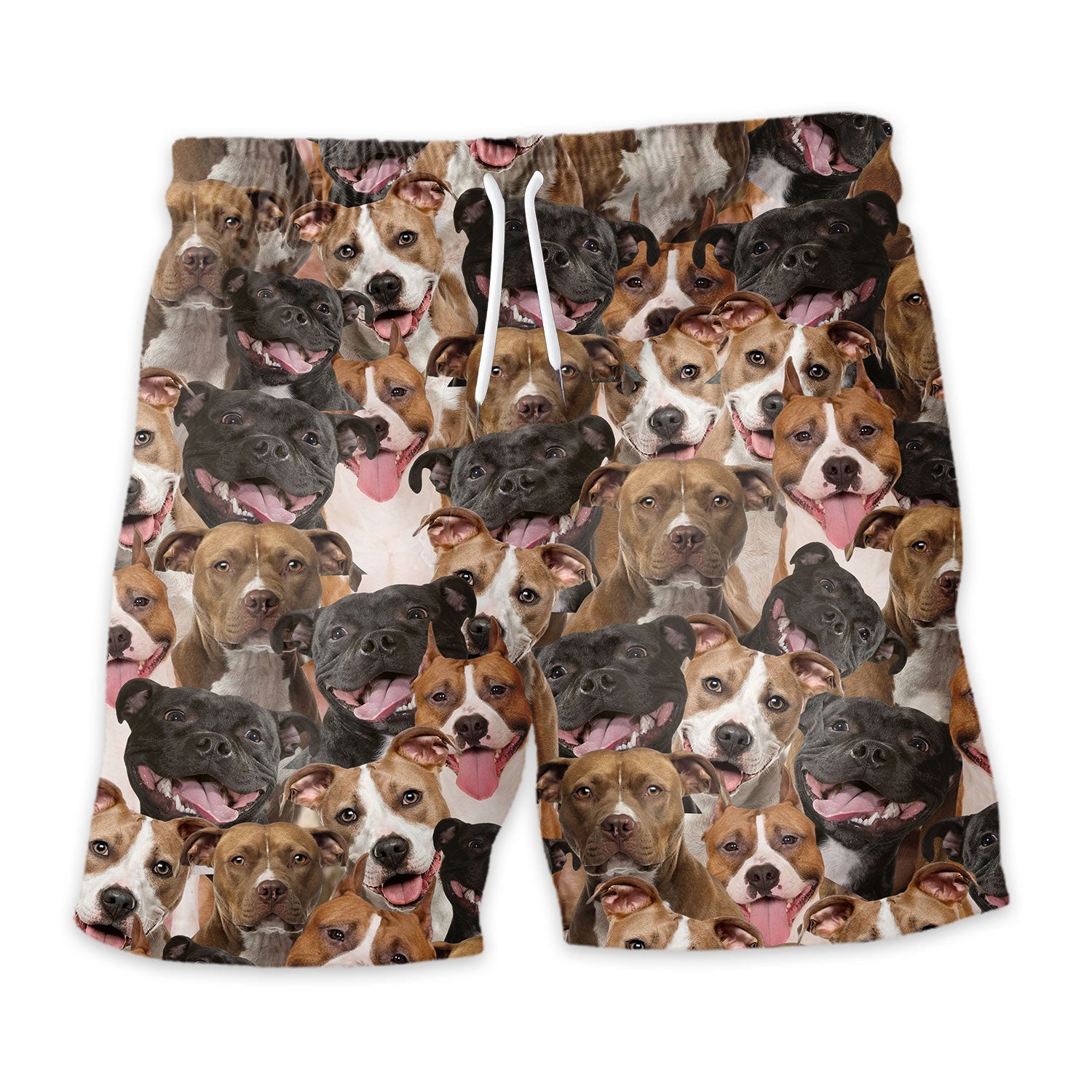 Shorts-front-American-Staffordshire-Terrier.jpg