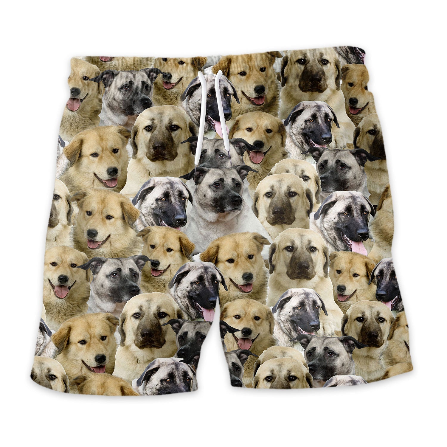 Shorts-front-Anatolian-Shepherd.jpg