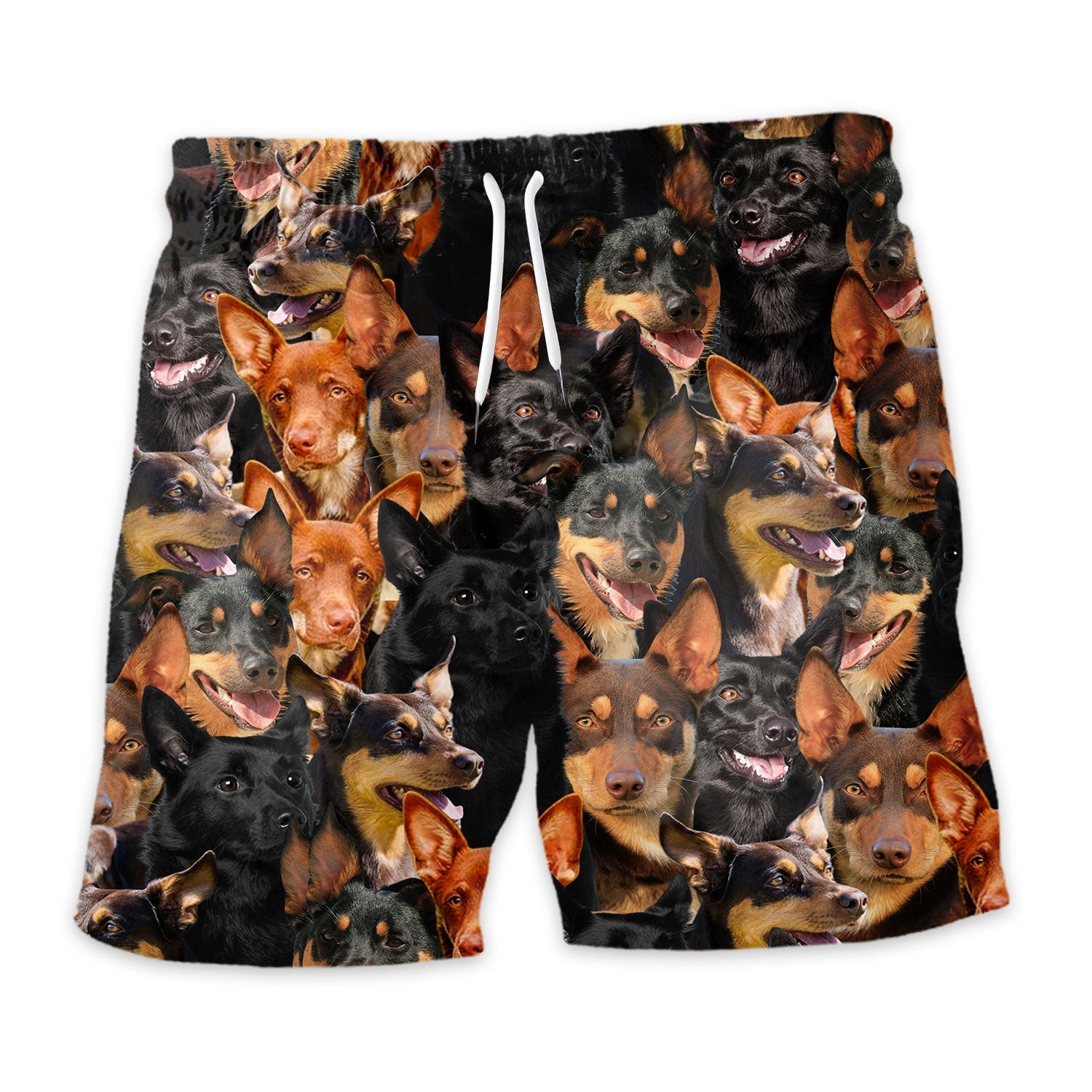 Shorts-front-Australian-Kelpie.jpg