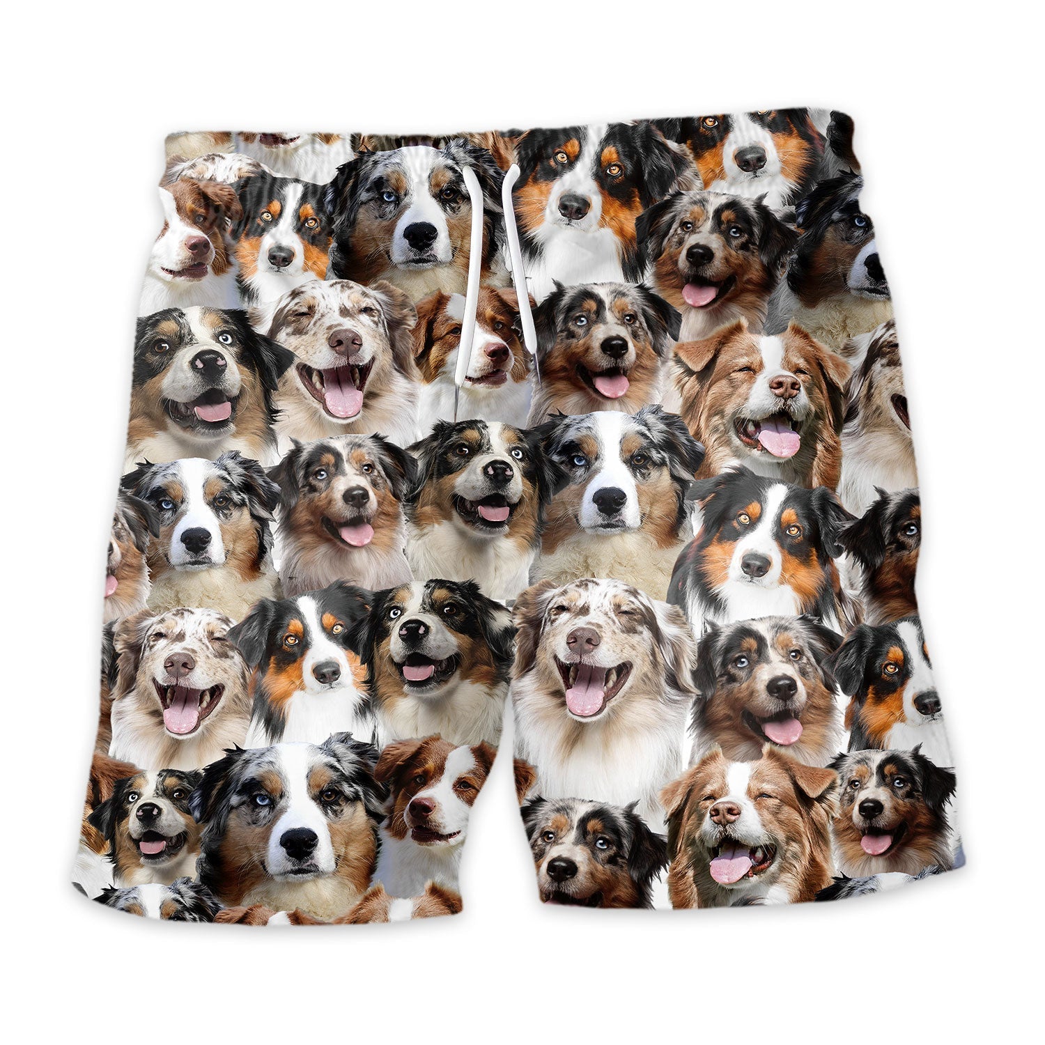 Shorts-front-Australian-Shepherd.jpg