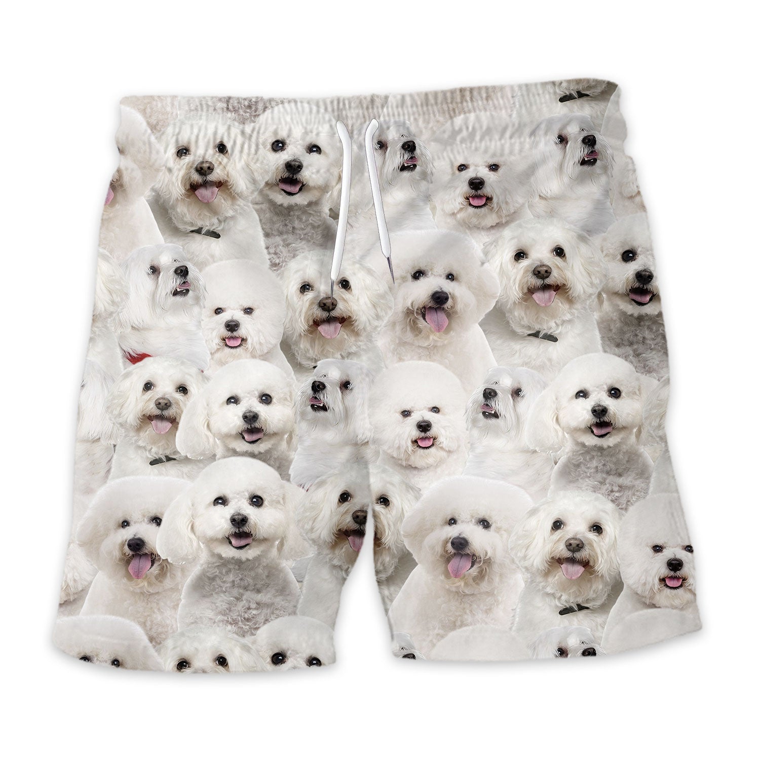 Shorts-front-Bichon-Frise.jpg