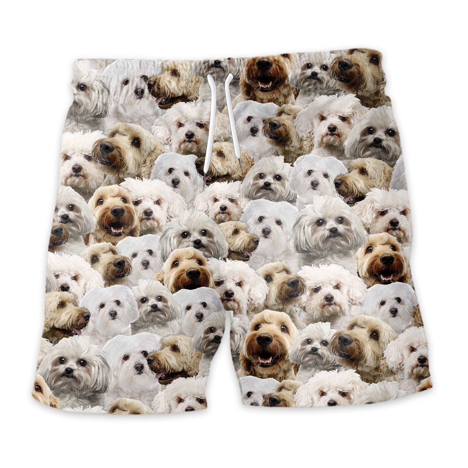 Shorts-front-Bolognese-Dog.jpg