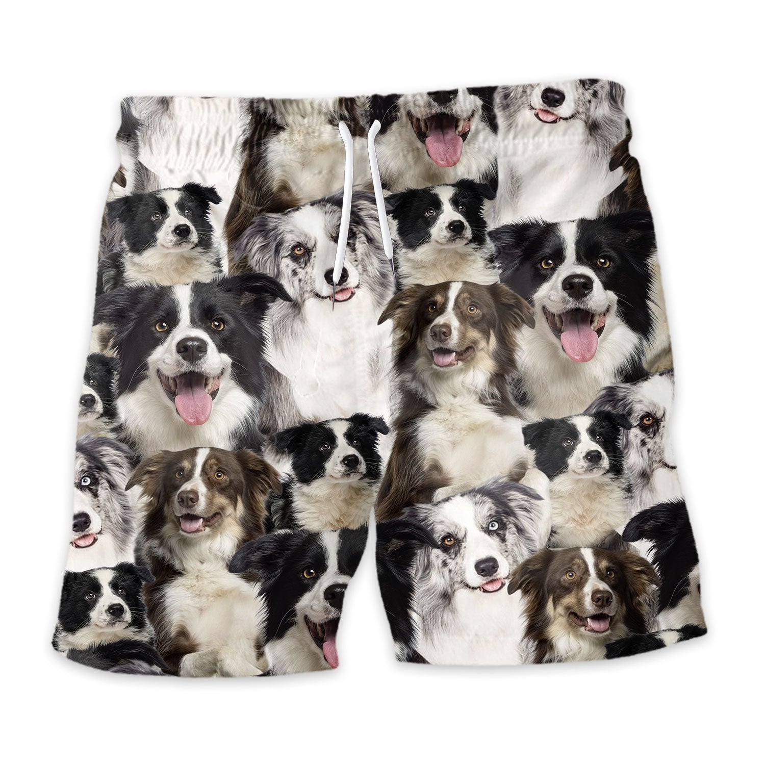 Shorts-front-Border-Collie.jpg