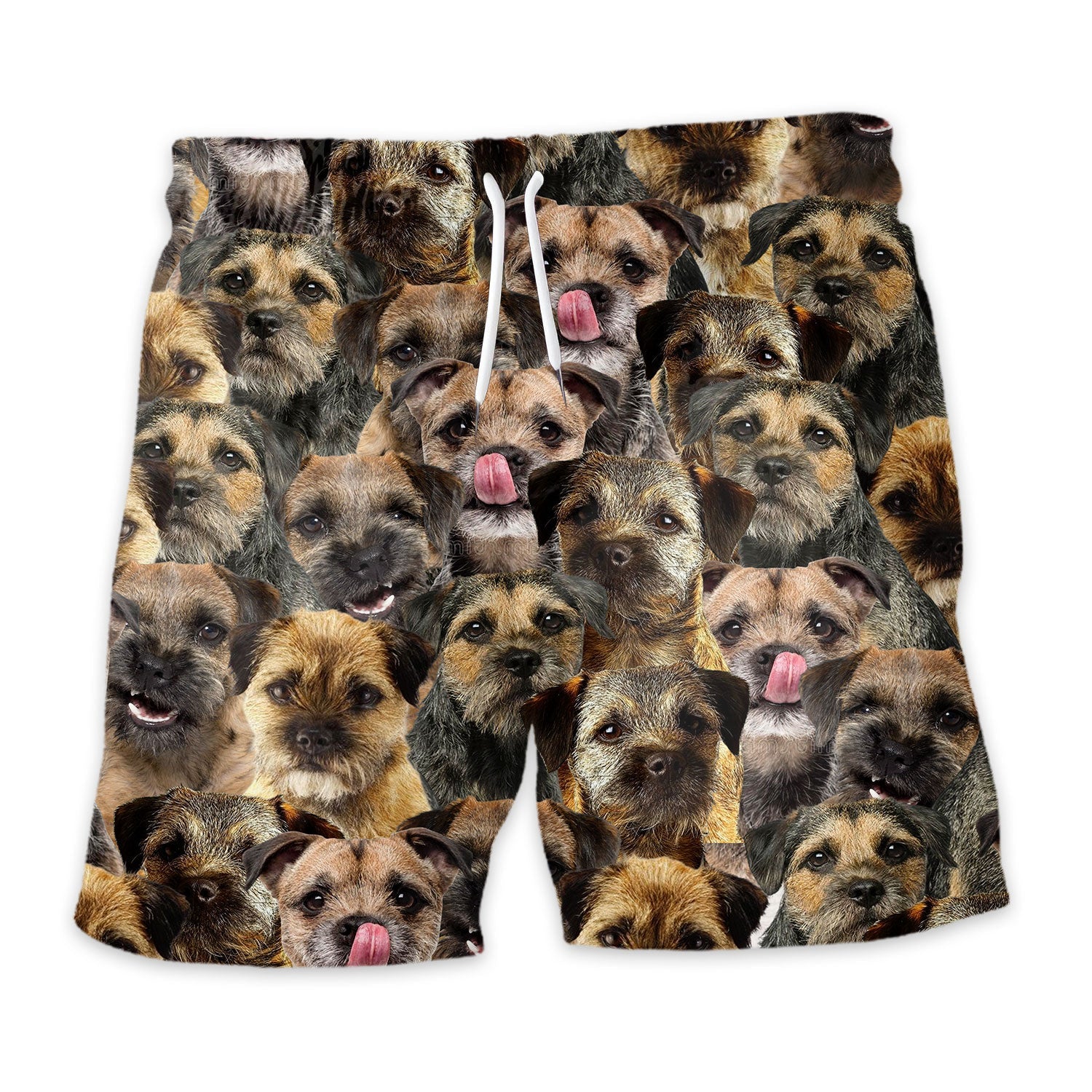 Shorts-front-Border-Terrier.jpg